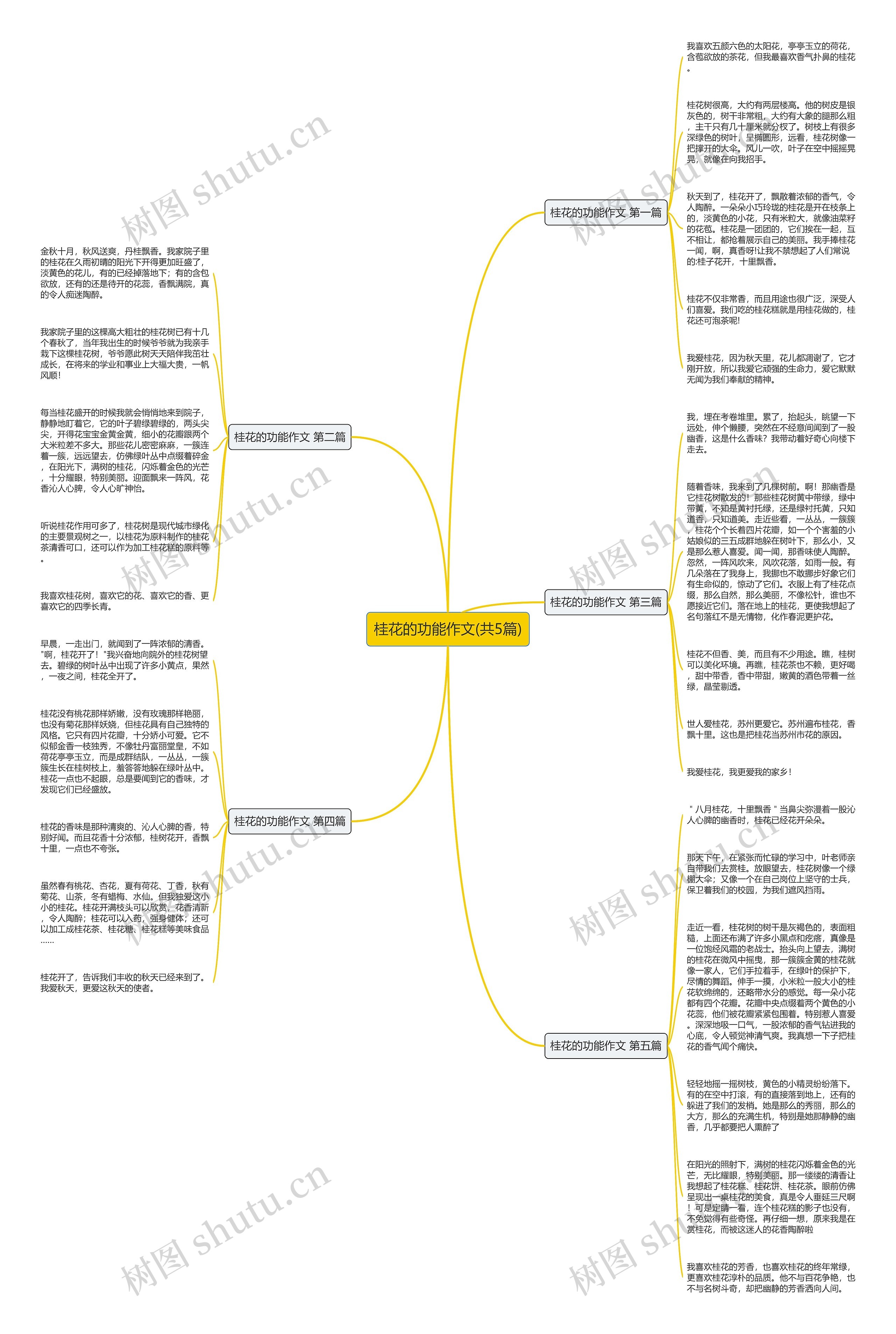 桂花的功能作文(共5篇)思维导图
