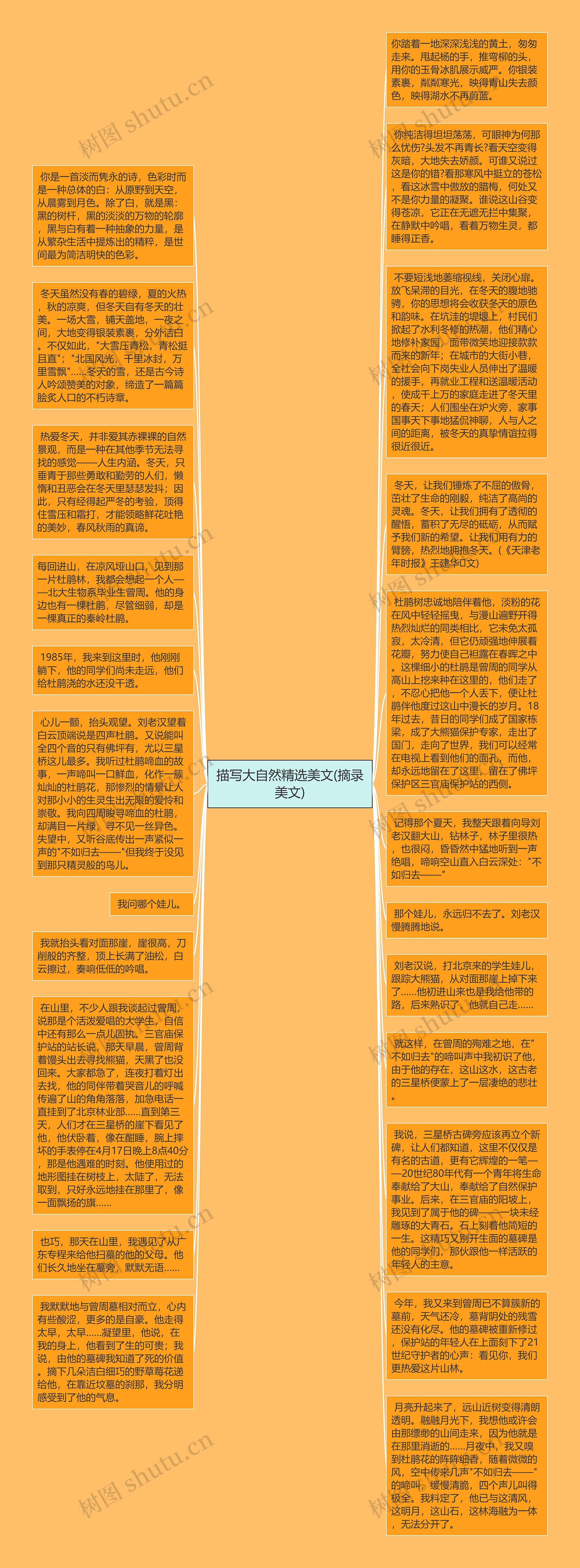描写大自然精选美文(摘录美文)