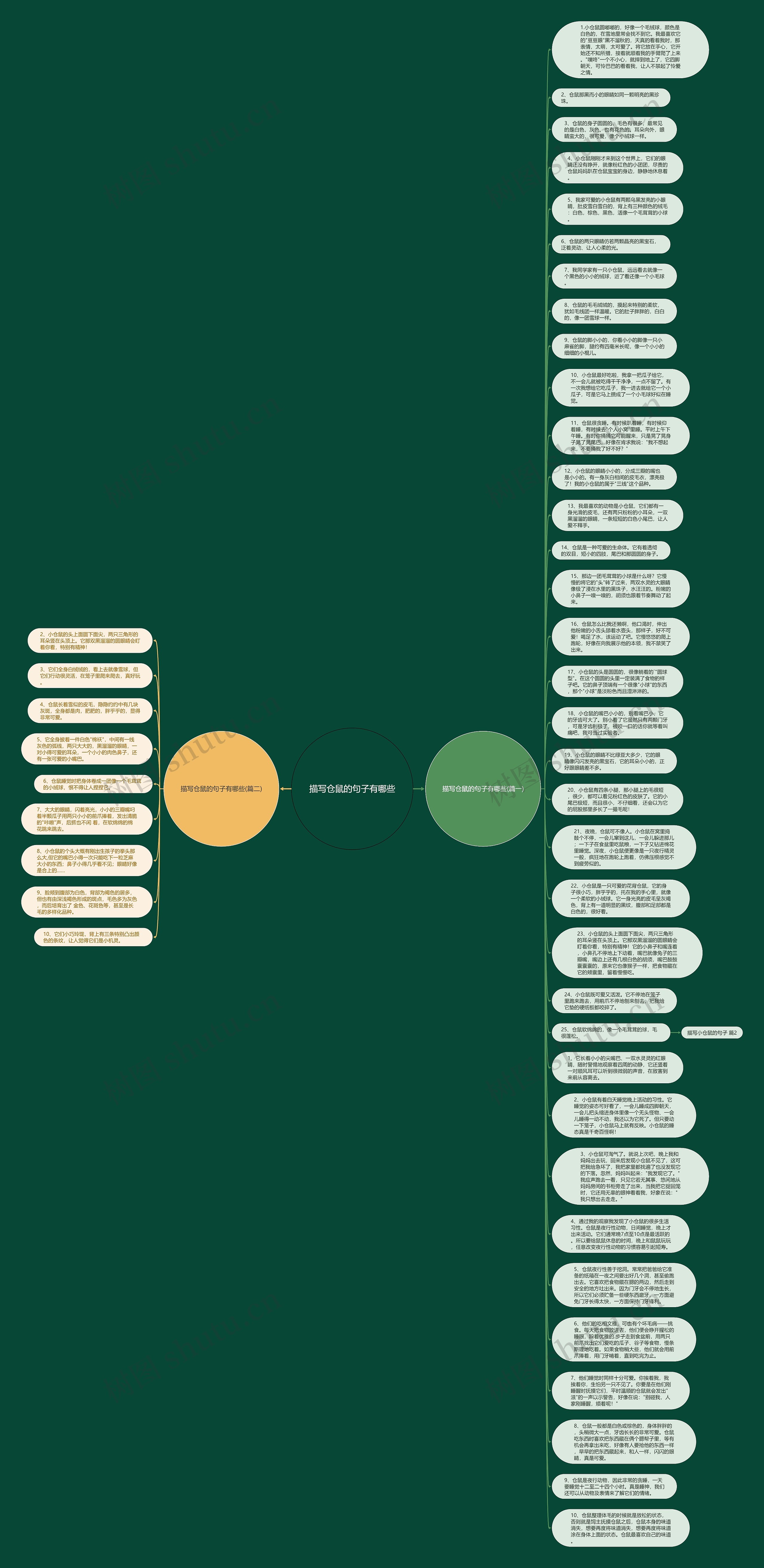 描写仓鼠的句子有哪些思维导图