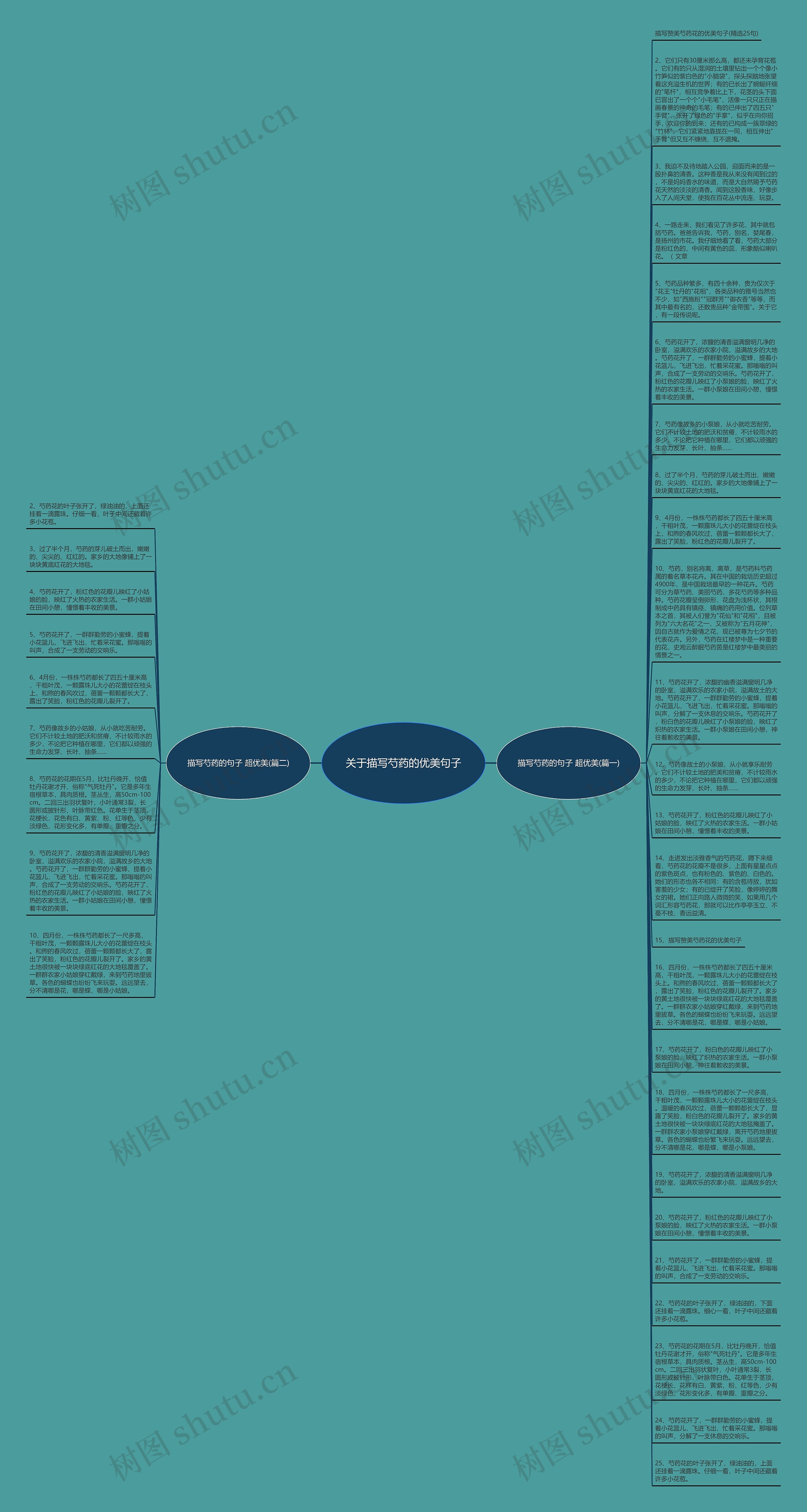 关于描写芍药的优美句子思维导图