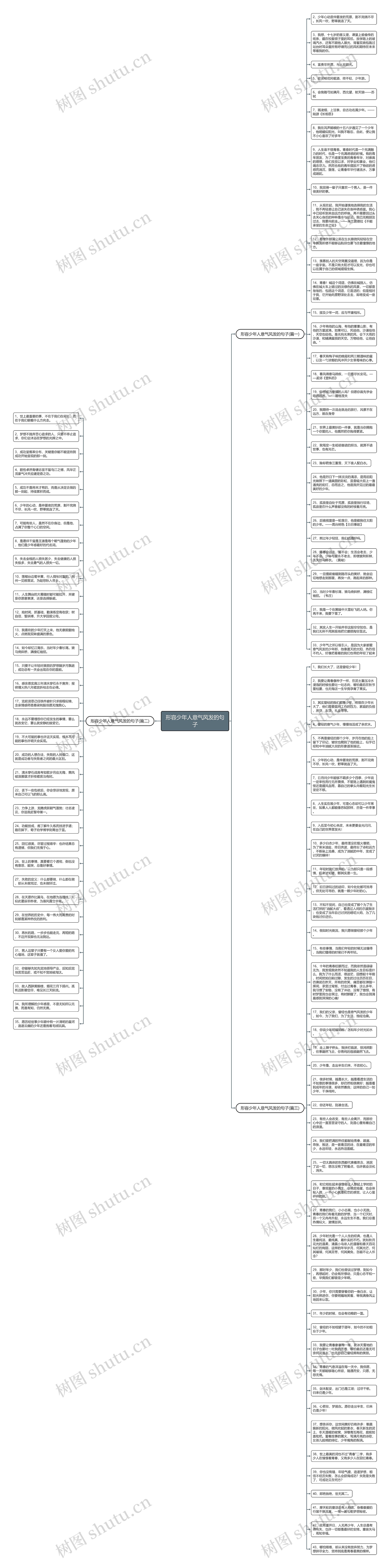 形容少年人意气风发的句子思维导图