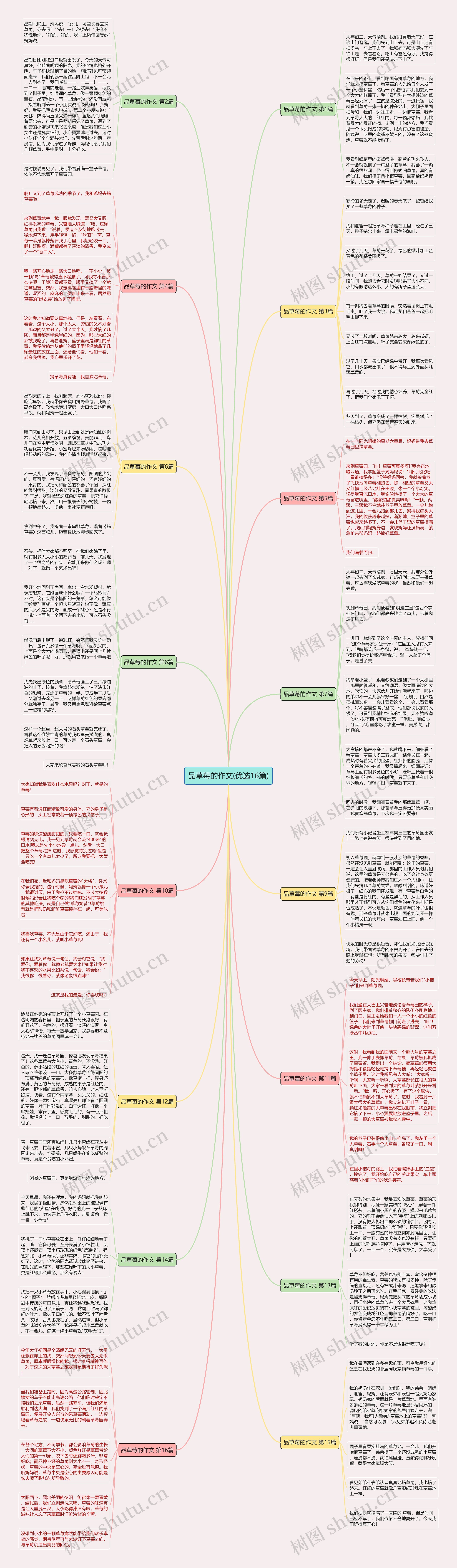 品草莓的作文(优选16篇)思维导图