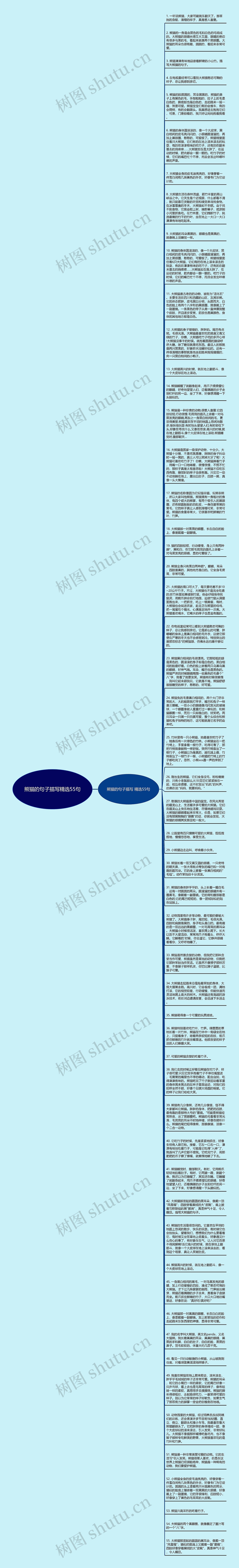 熊猫的句子描写精选55句思维导图