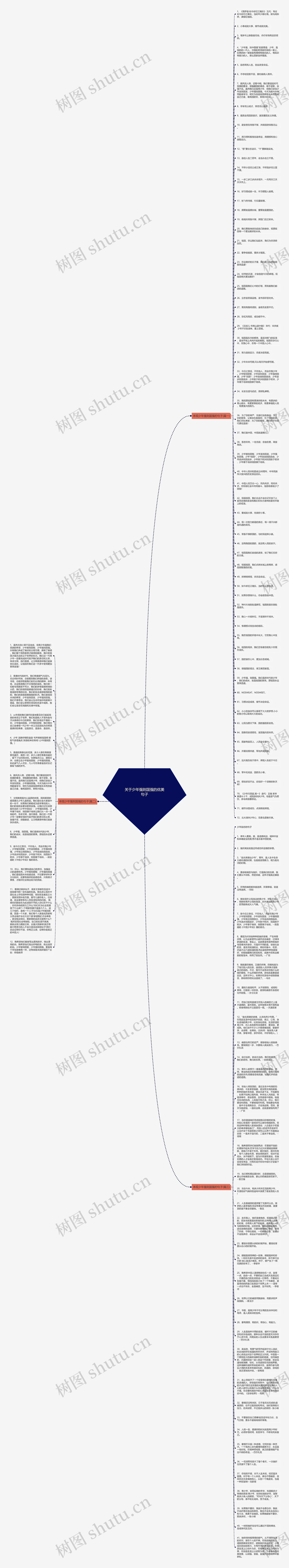 关于少年强则国强的优美句子思维导图
