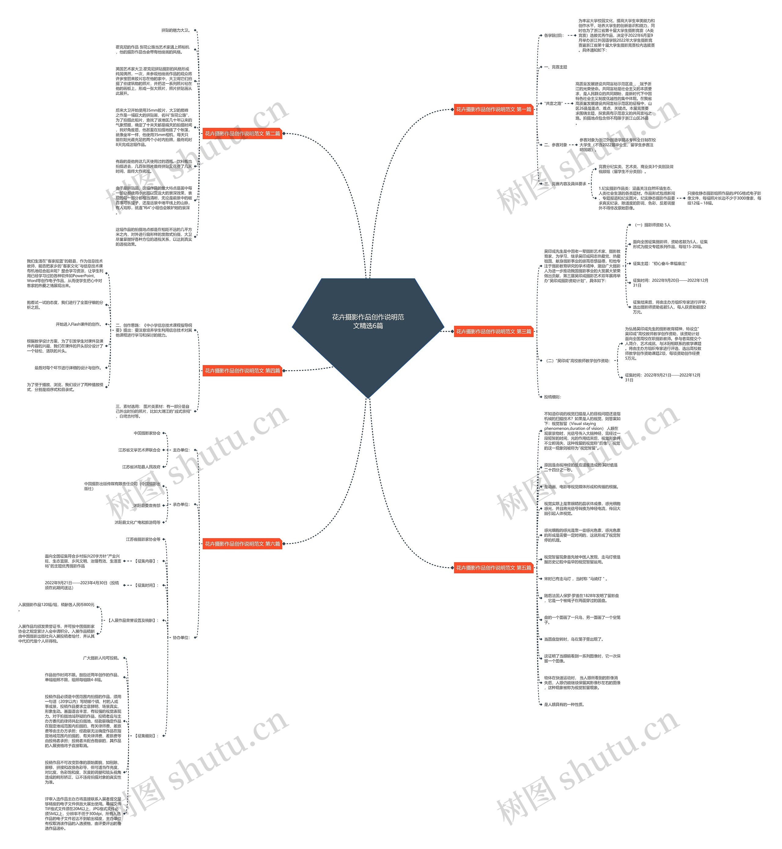 花卉摄影作品创作说明范文精选6篇 花卉摄影作品创作说明范文精选6篇