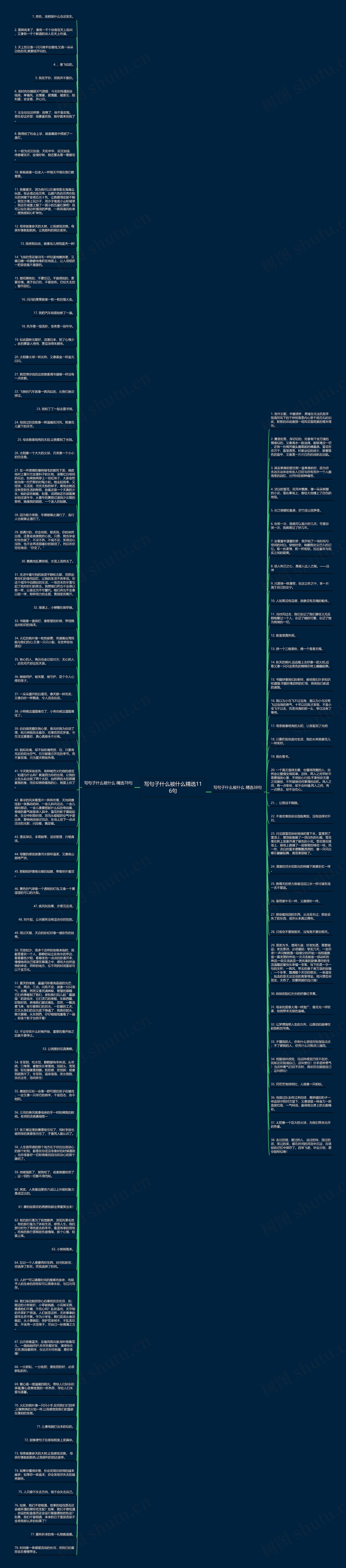 写句子什么被什么精选116句思维导图