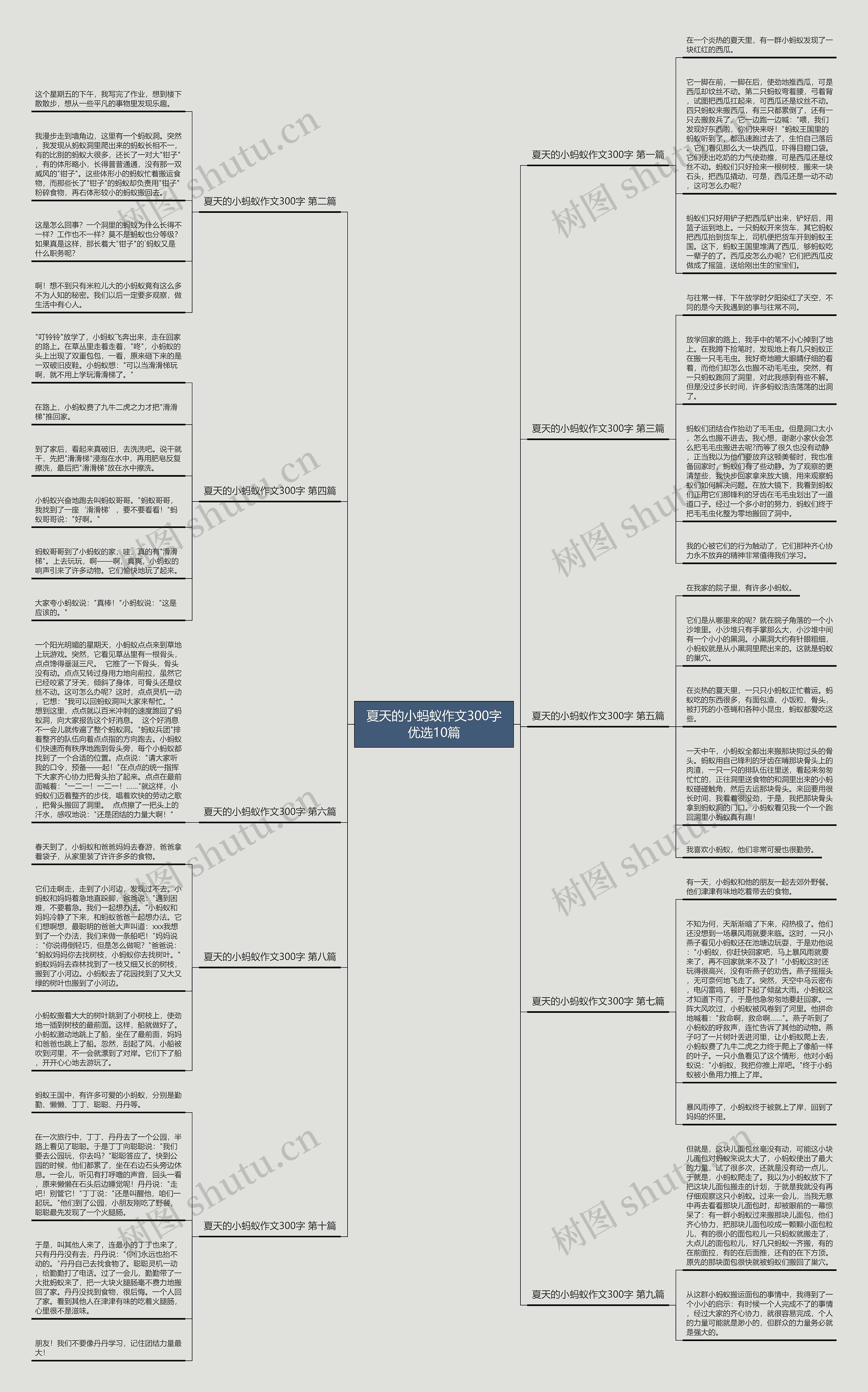 夏天的小蚂蚁作文300字优选10篇思维导图