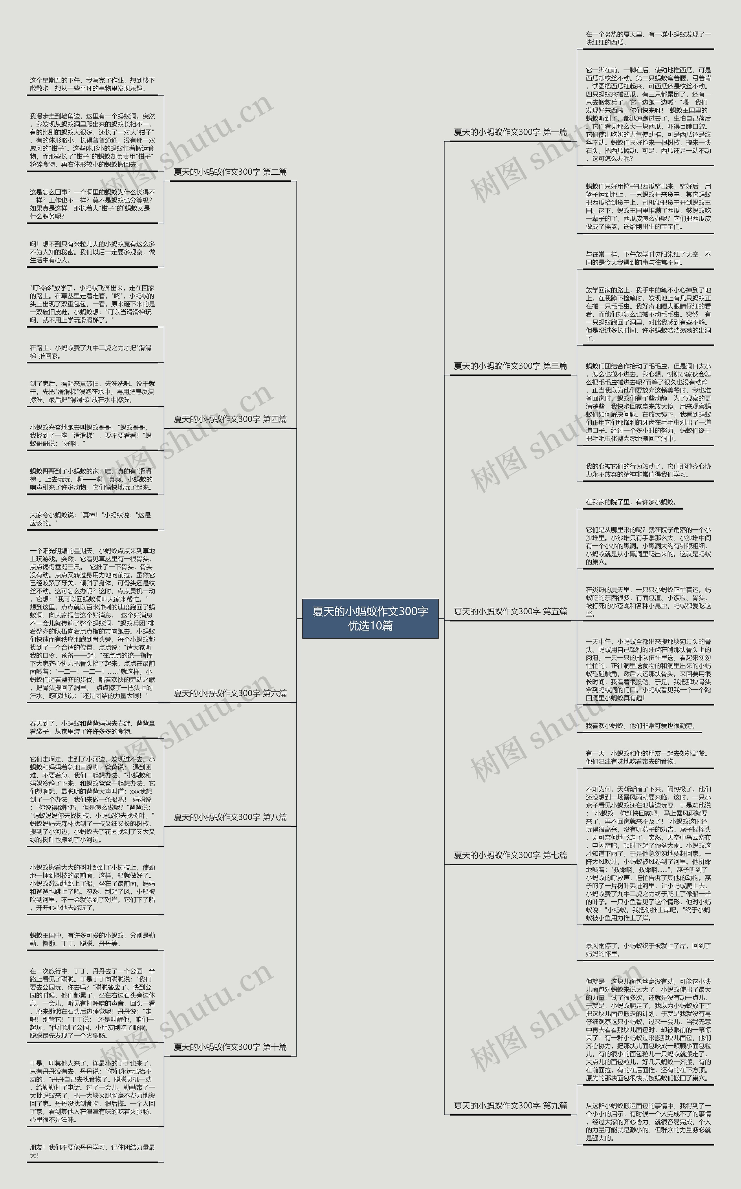 夏天的小蚂蚁作文300字优选10篇 夏天的小蚂蚁作文300字优选10篇