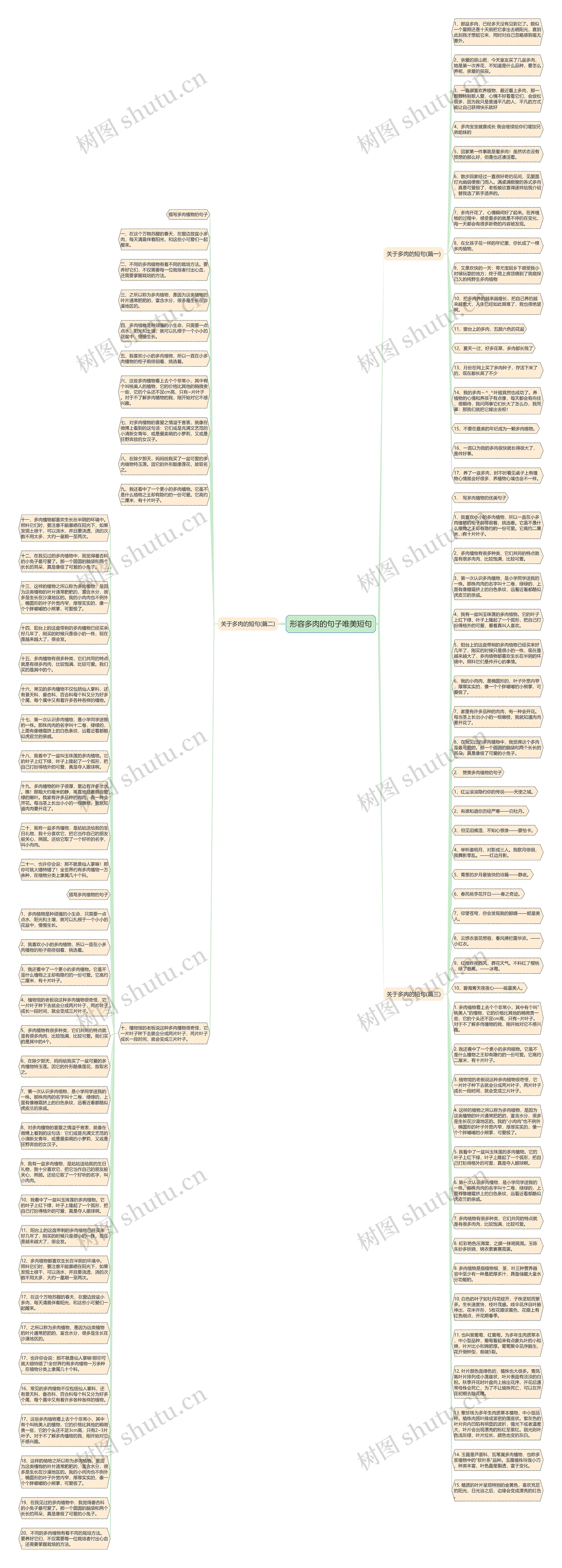 形容多肉的句子唯美短句思维导图