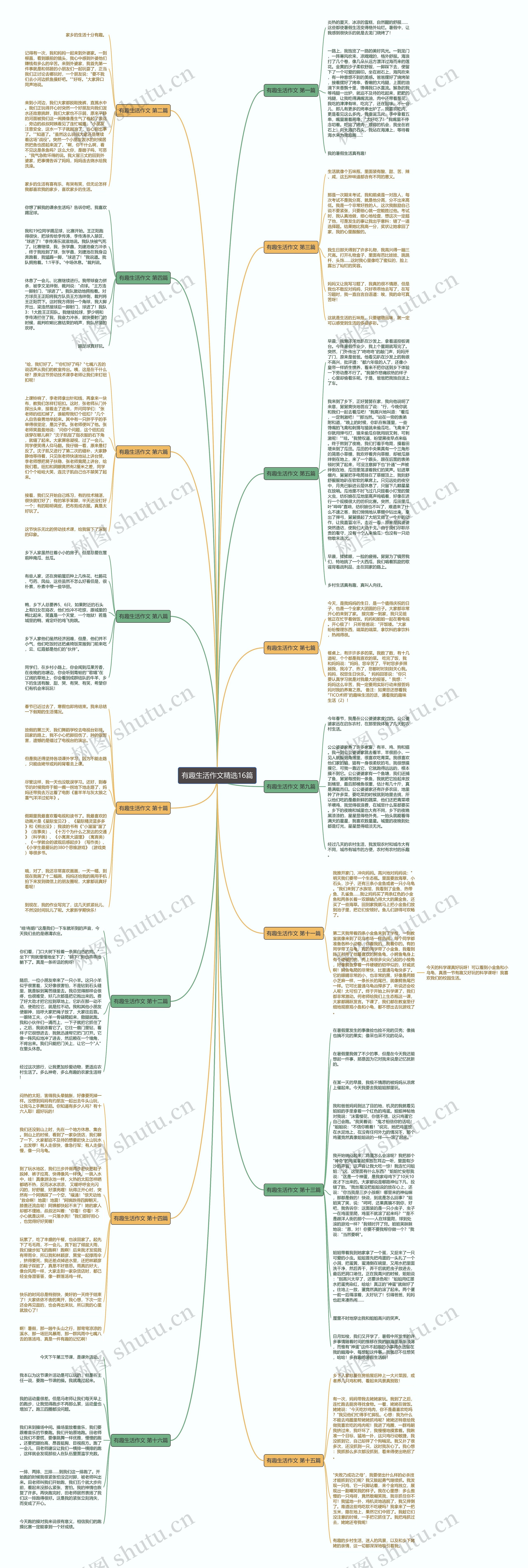 有趣生活作文精选16篇思维导图