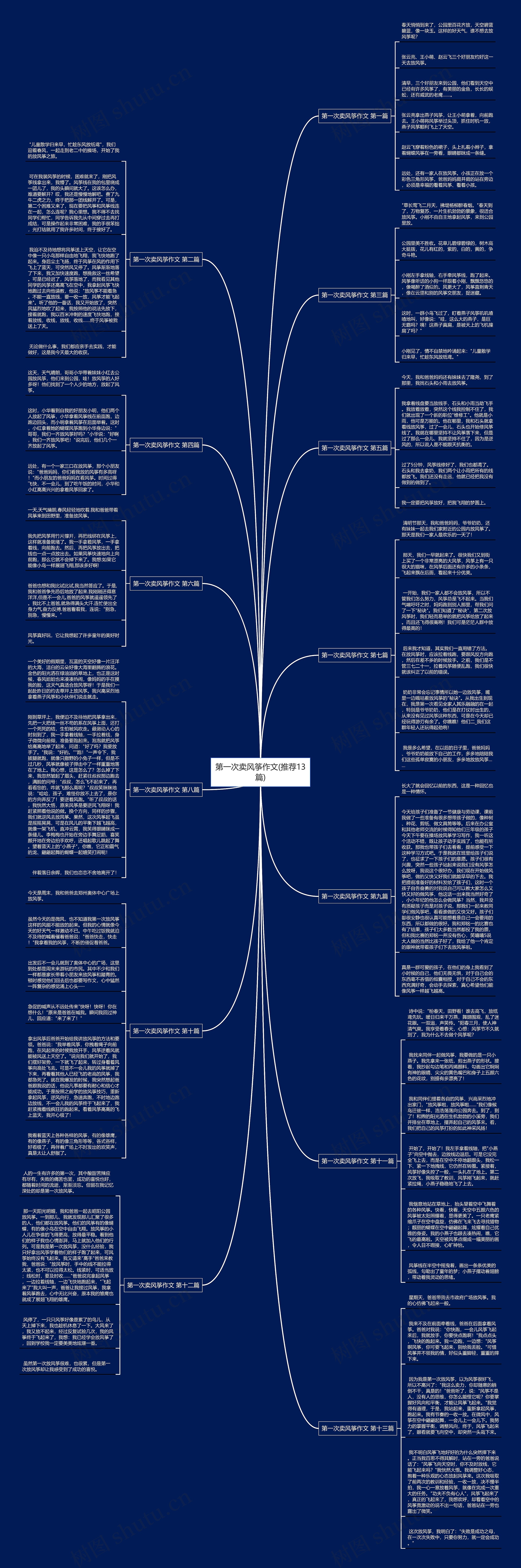 第一次卖风筝作文(推荐13篇)思维导图