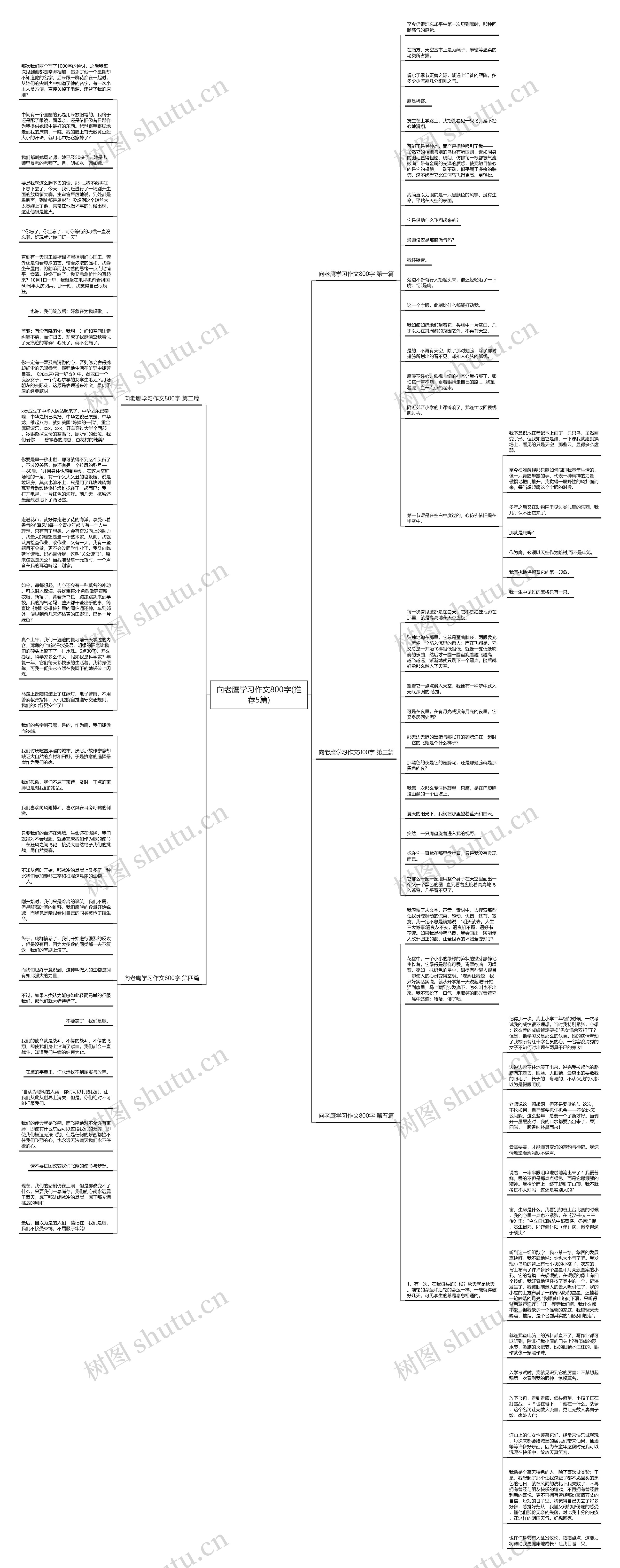 向老鹰学习作文800字(推荐5篇)