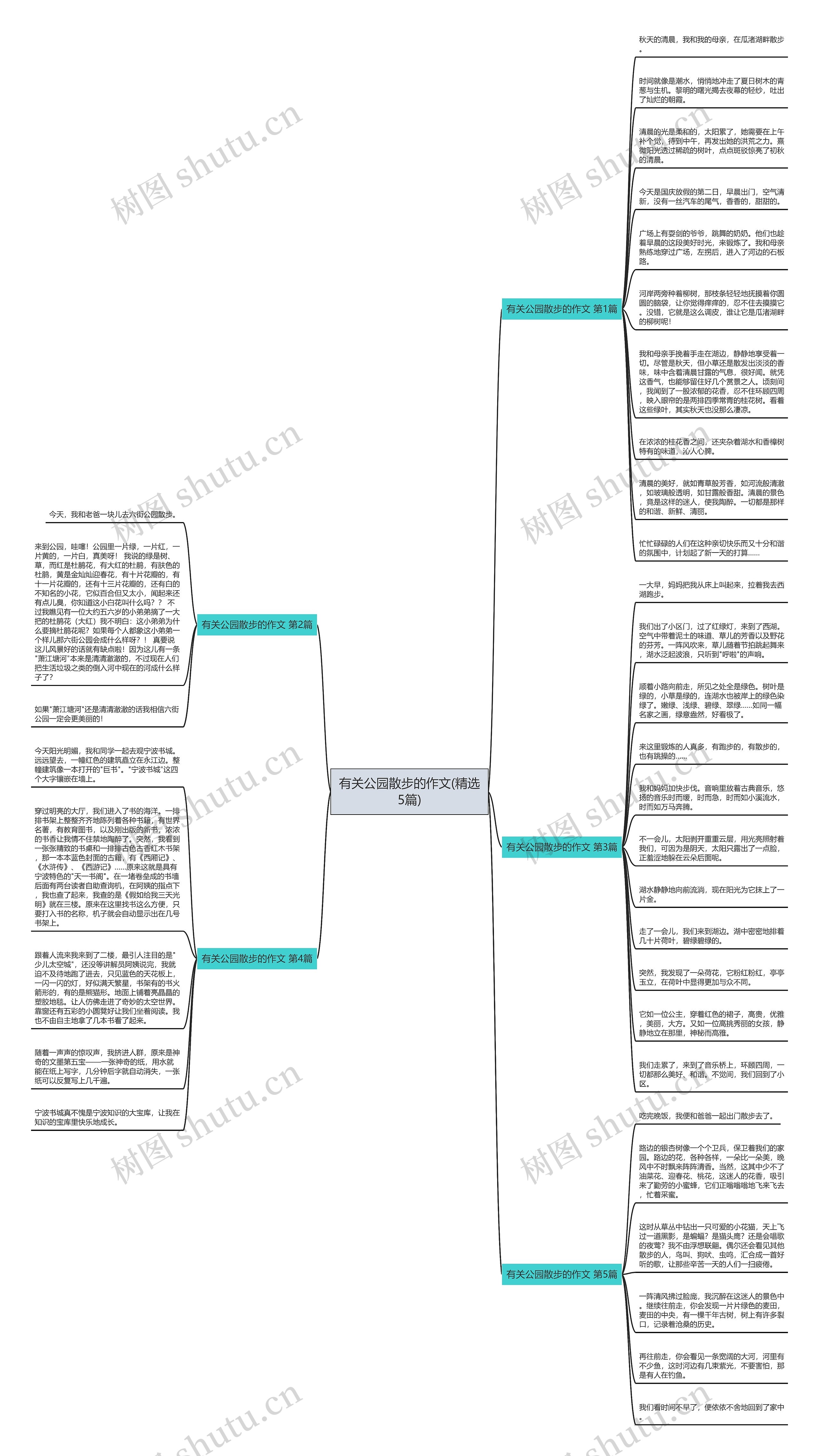 有关公园散步的作文(精选5篇)思维导图