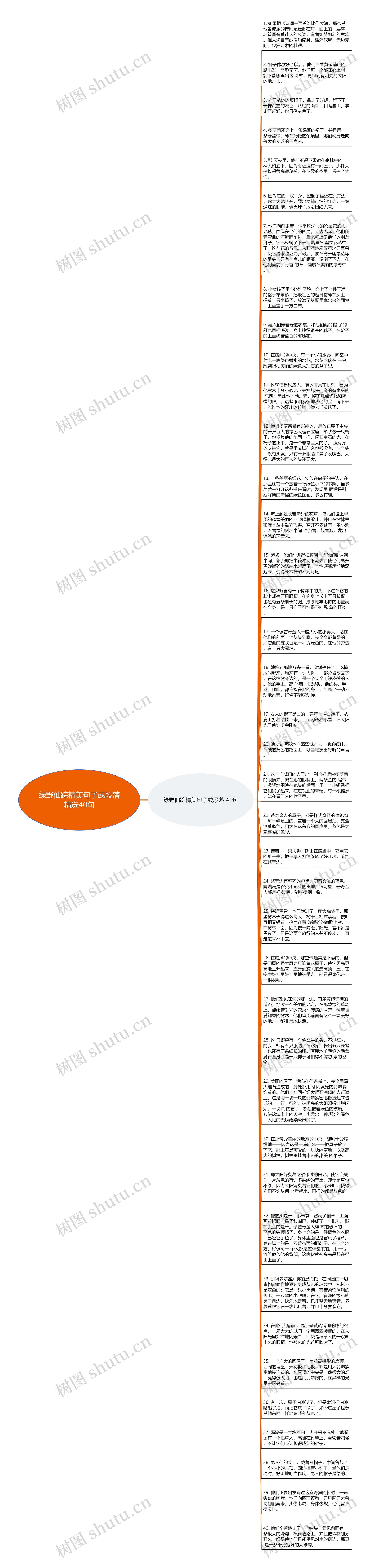 绿野仙踪精美句子或段落精选40句思维导图