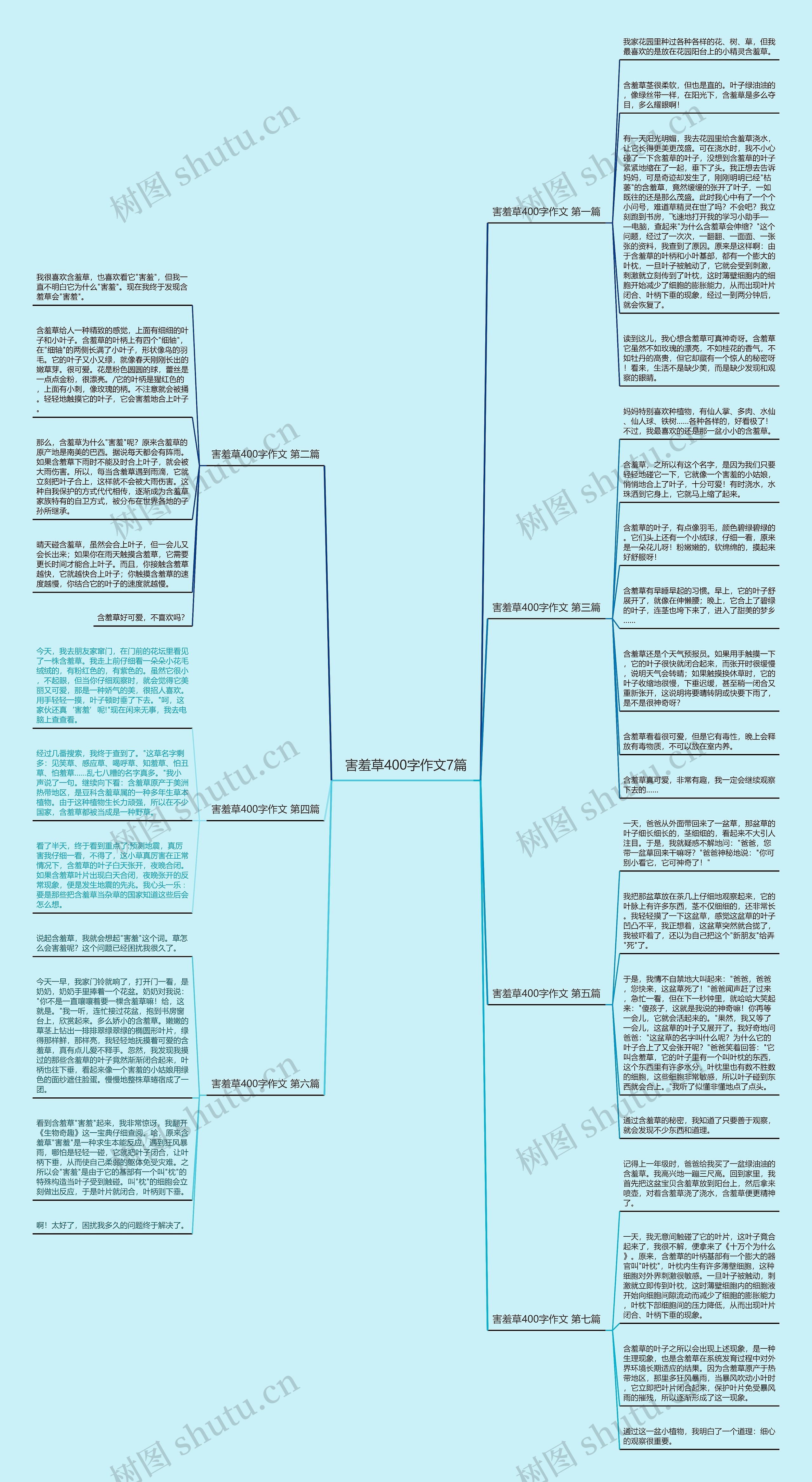 害羞草400字作文7篇思维导图