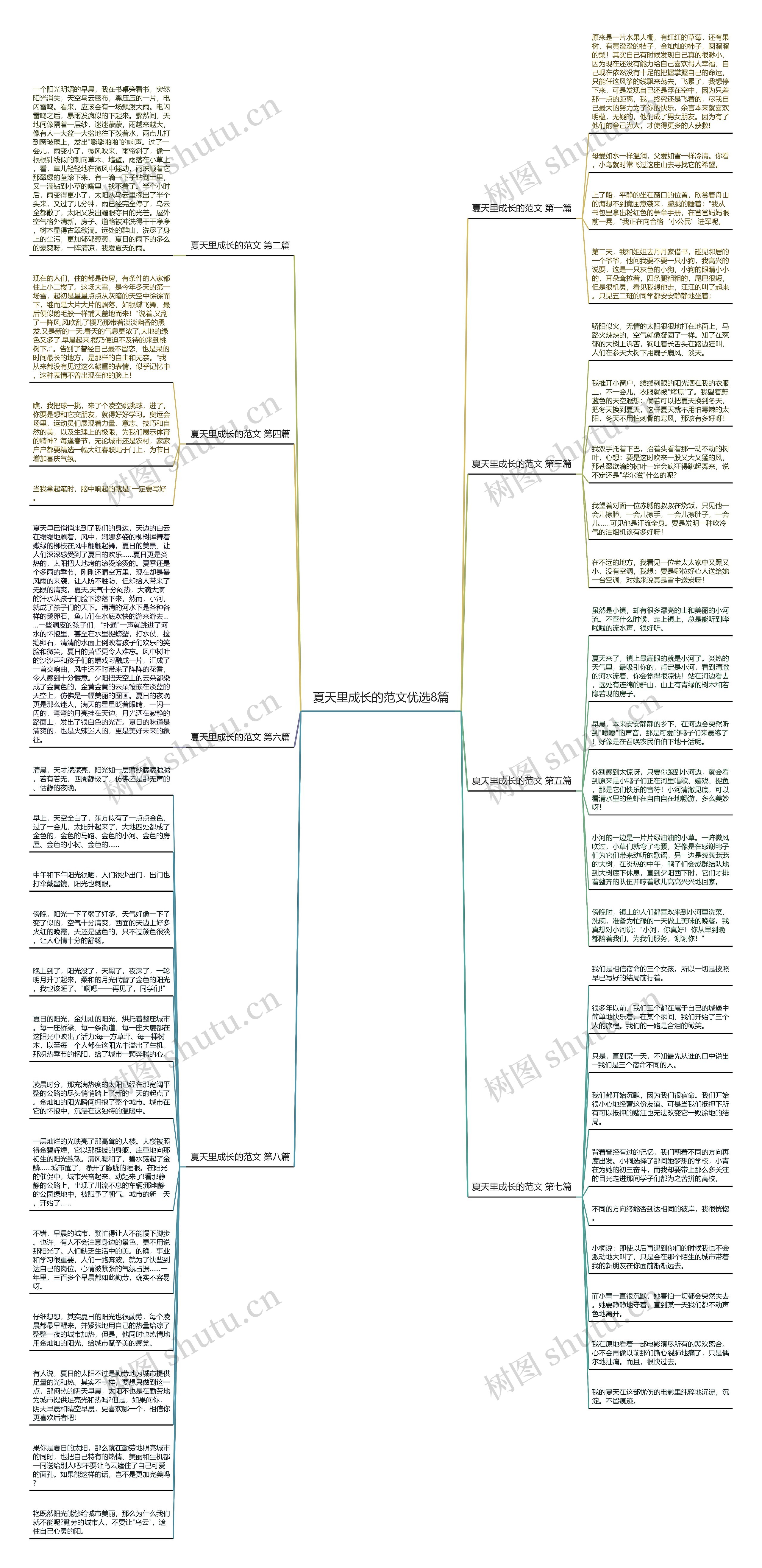 夏天里成长的范文优选8篇思维导图
