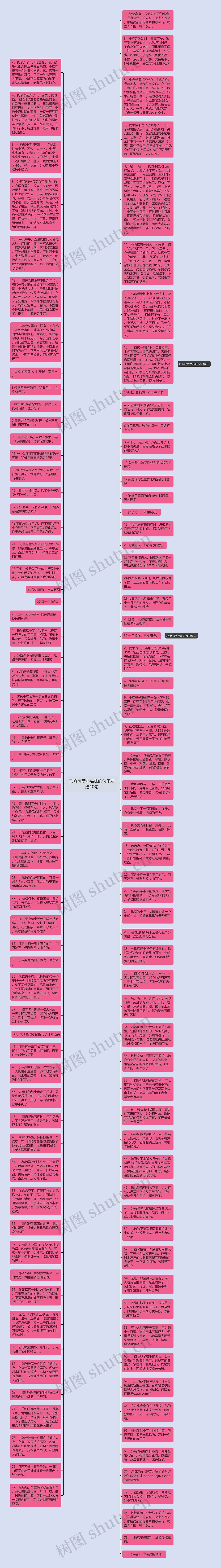 形容可爱小猫咪的句子精选10句思维导图