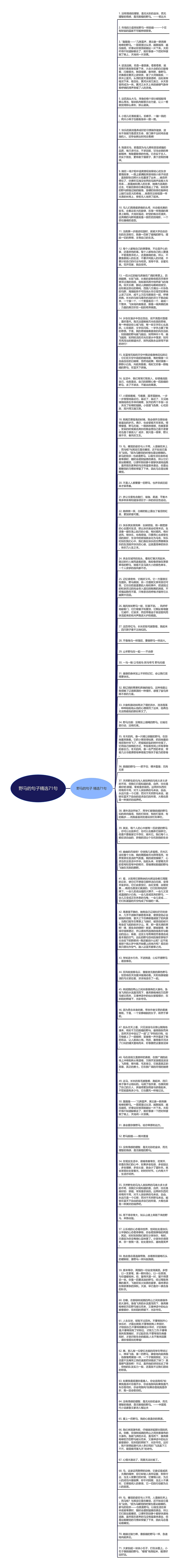 野马的句子精选71句思维导图