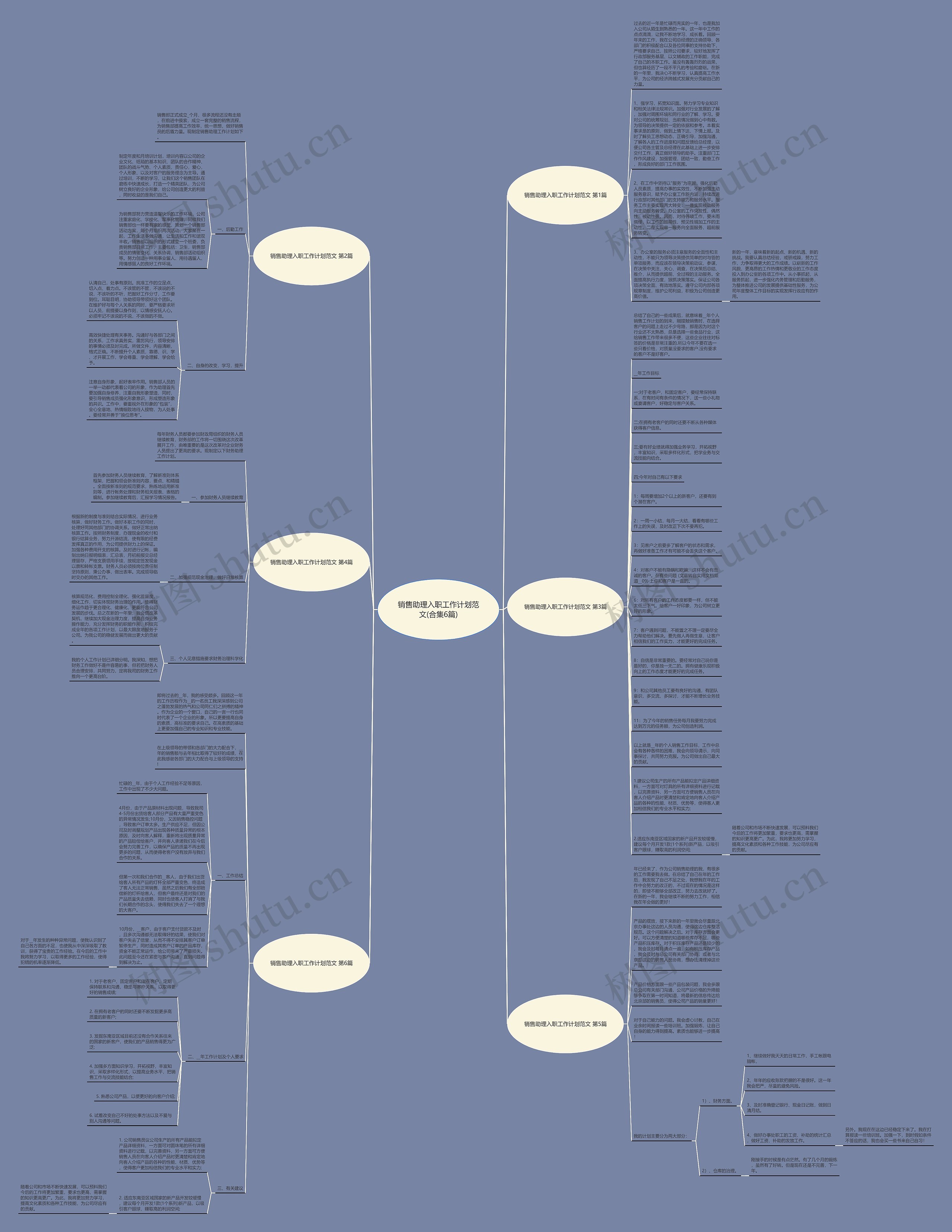 销售助理入职工作计划范文(合集6篇)思维导图