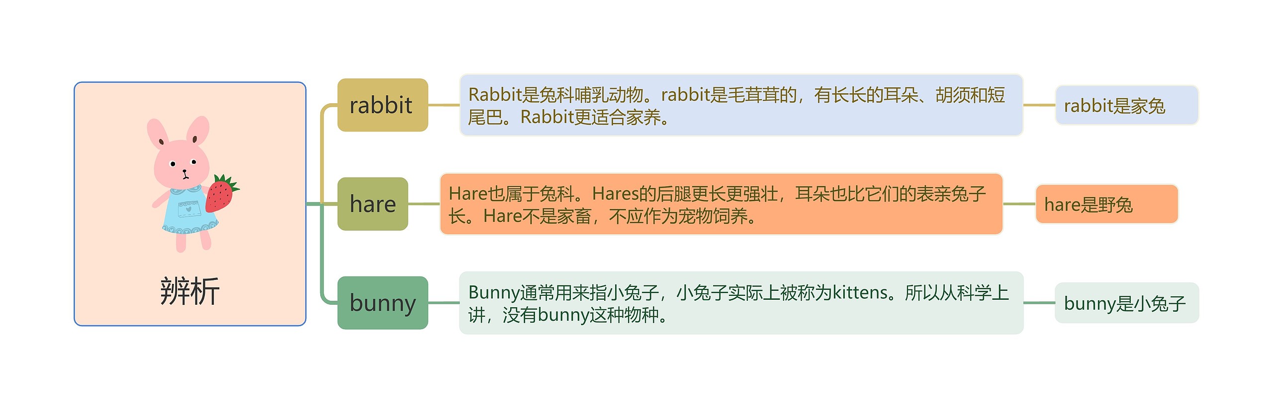 英语词汇辨析