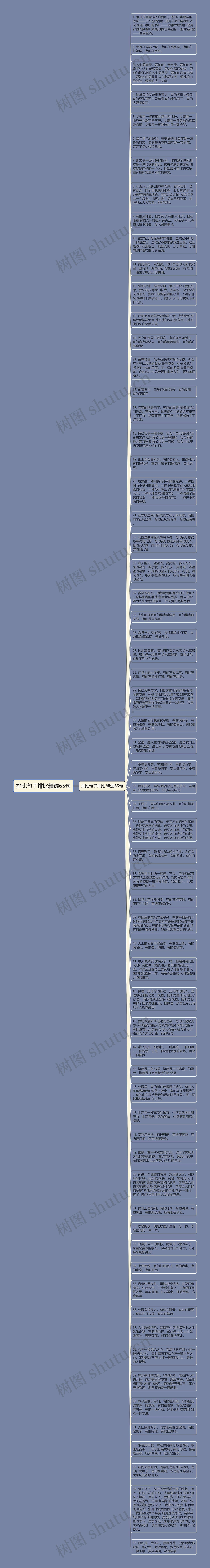 排比句子排比精选65句思维导图