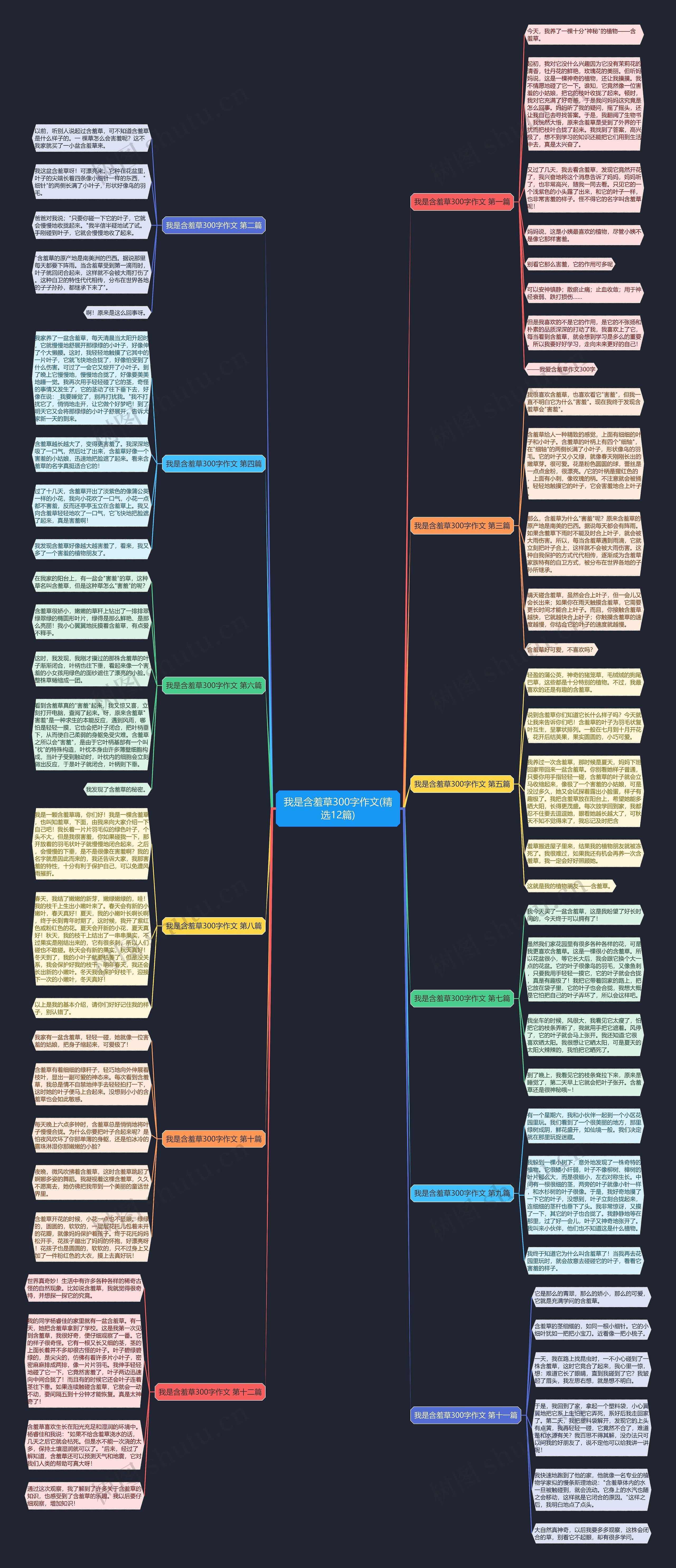 我是含羞草300字作文(精选12篇) 我是含羞草300字作文(精选12篇)