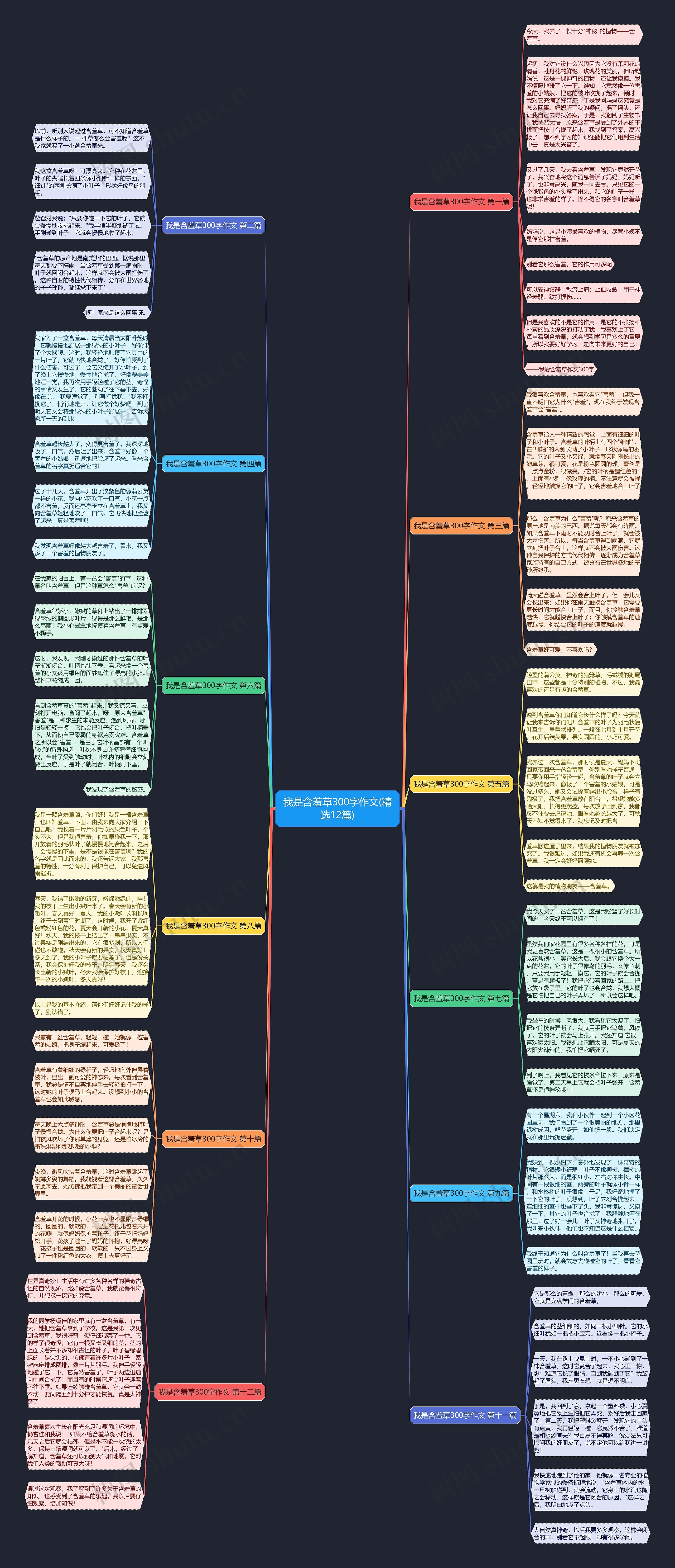 我是含羞草300字作文(精选12篇)思维导图