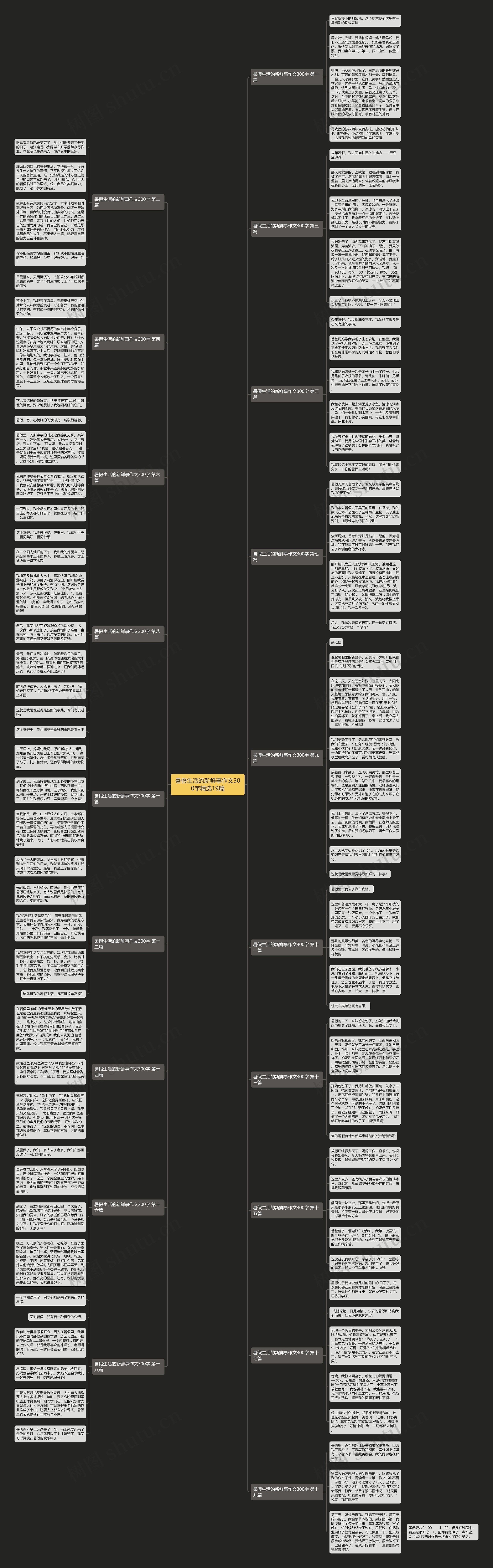 暑假生活的新鲜事作文300字精选19篇思维导图