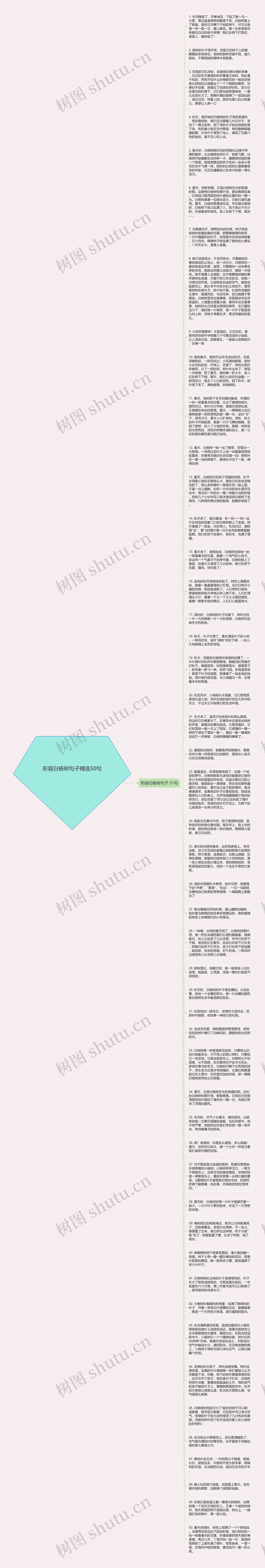 形容白杨树句子精选50句思维导图