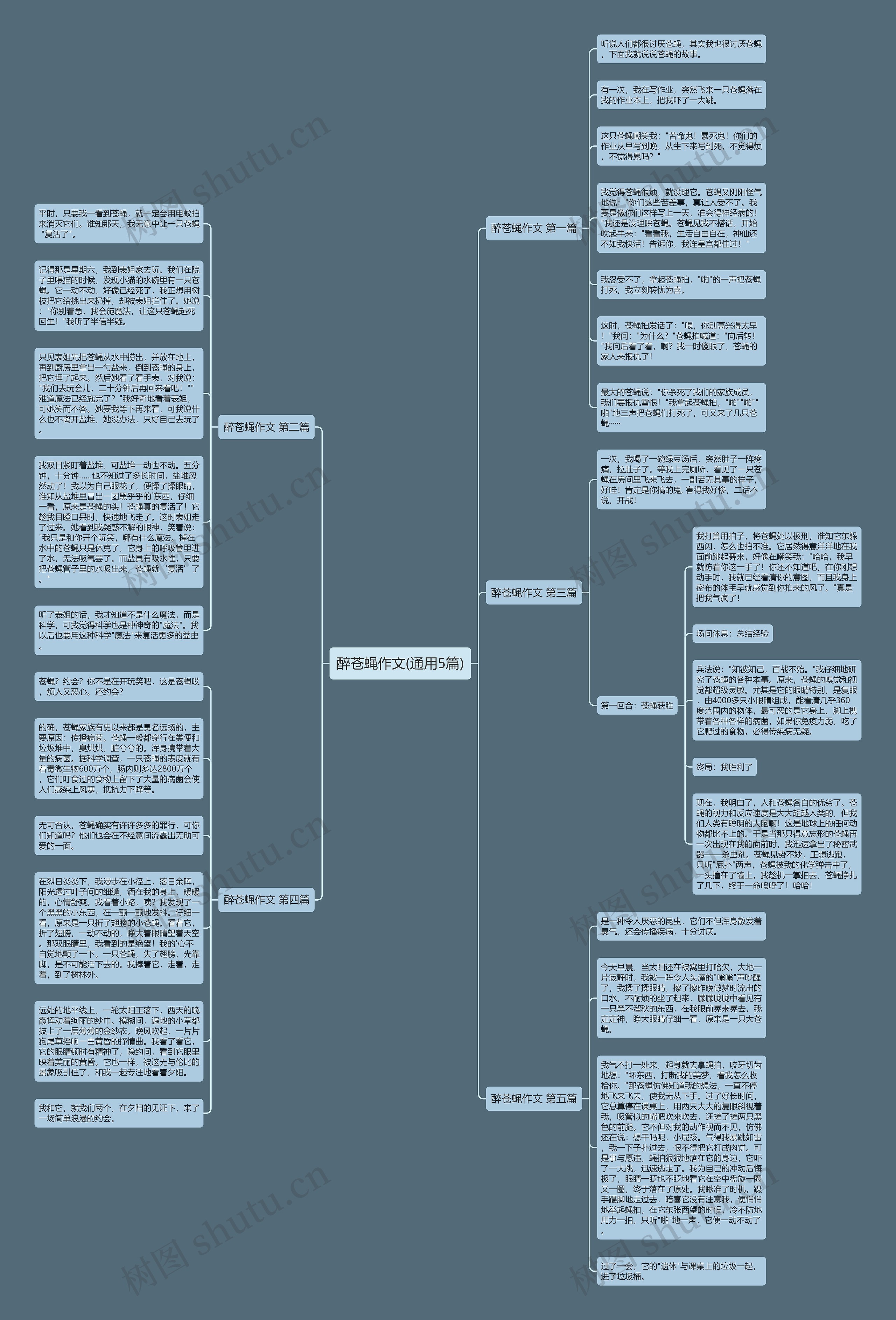 醉苍蝇作文(通用5篇)思维导图