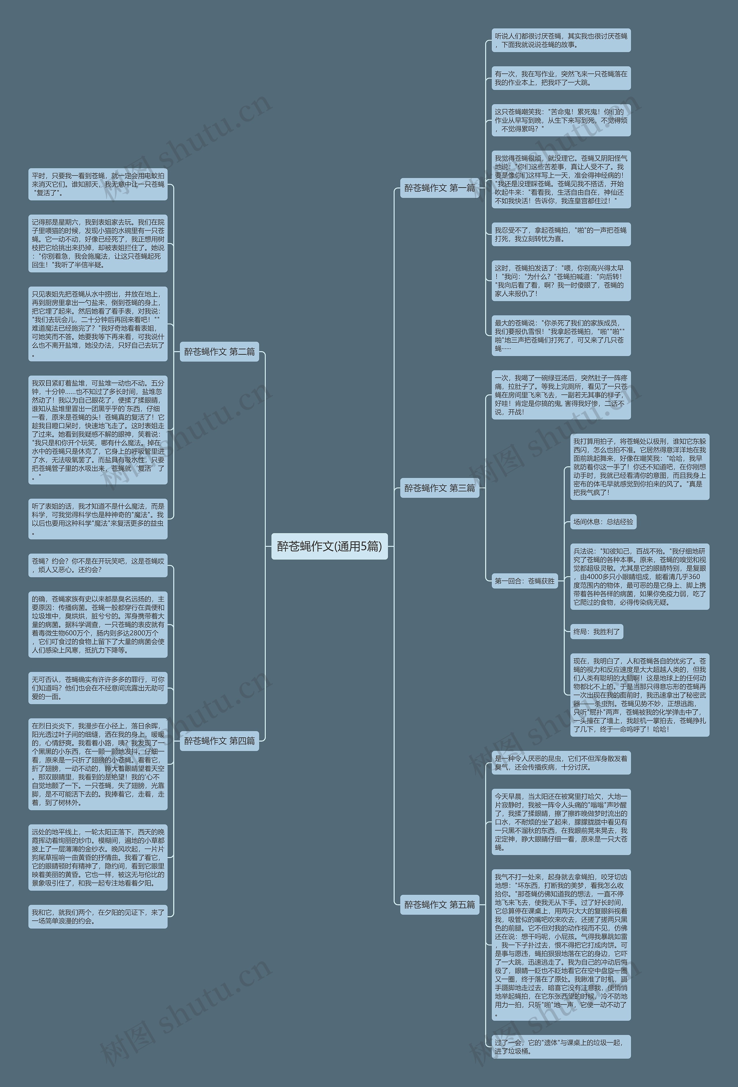醉苍蝇作文(通用5篇) 醉苍蝇作文(通用5篇)