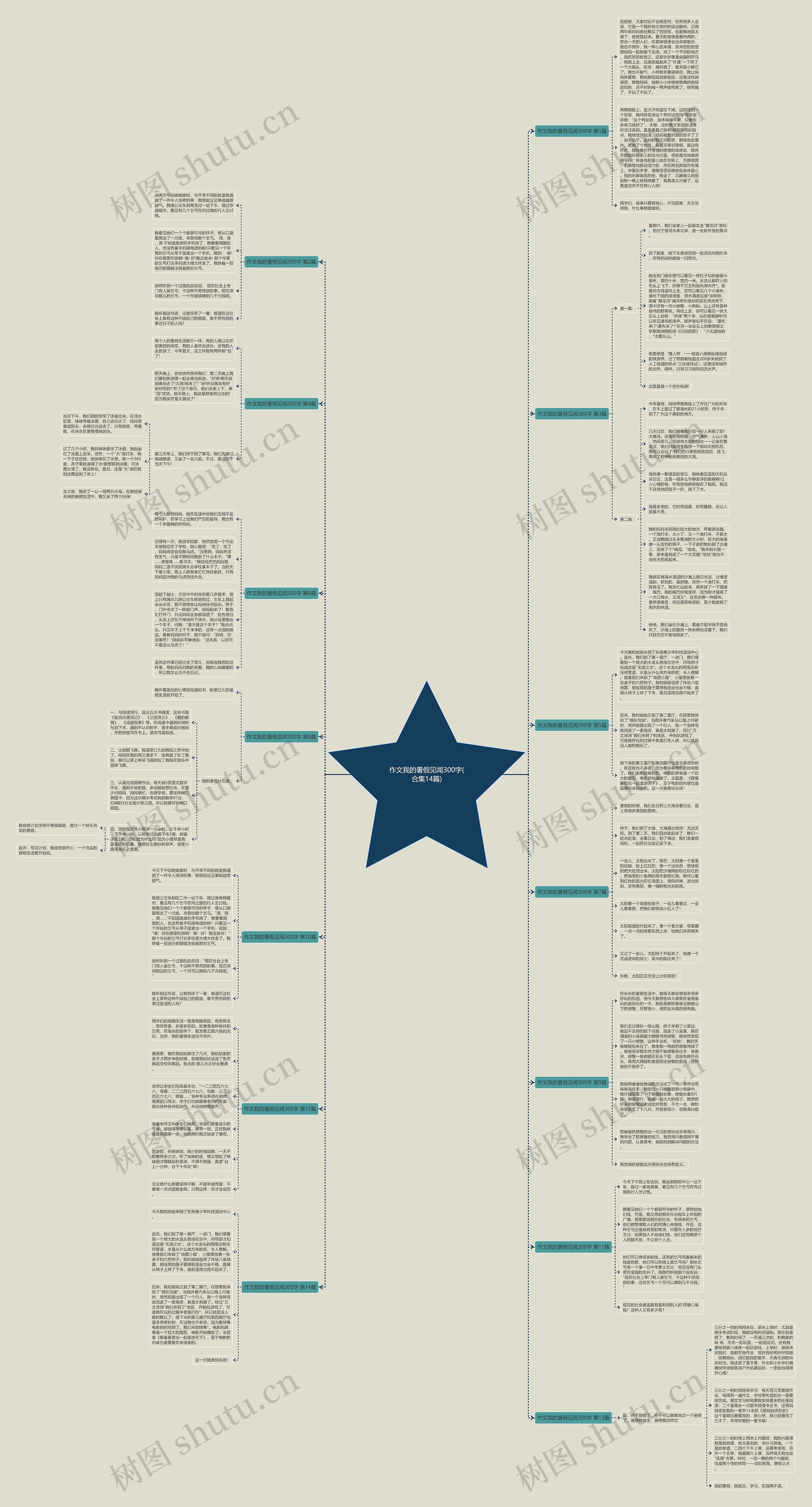 作文我的暑假见闻300字(合集14篇)思维导图