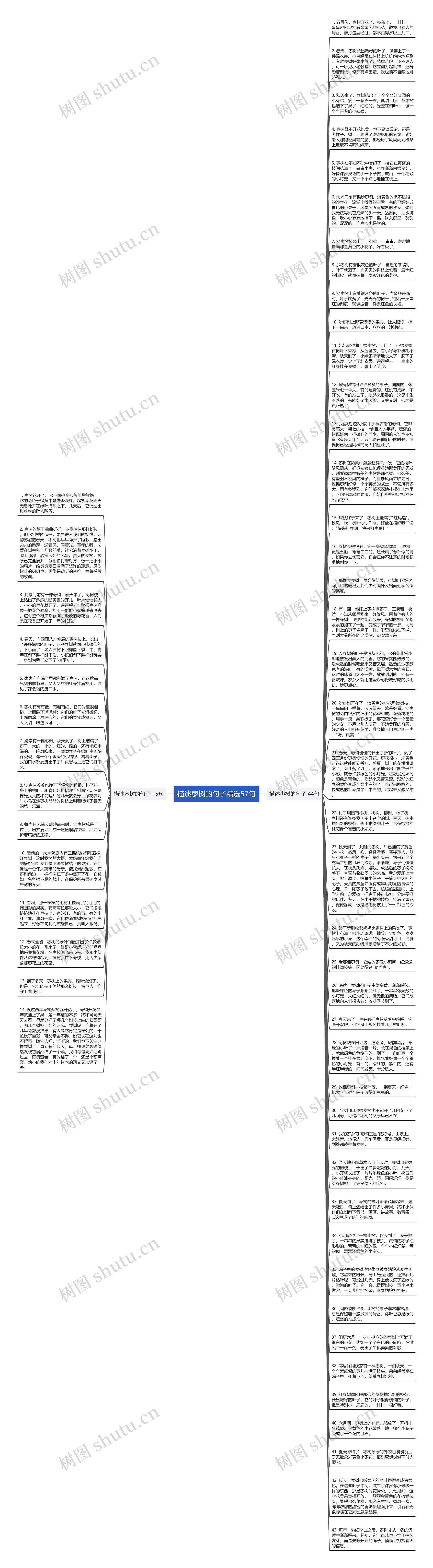 描述枣树的句子精选57句思维导图