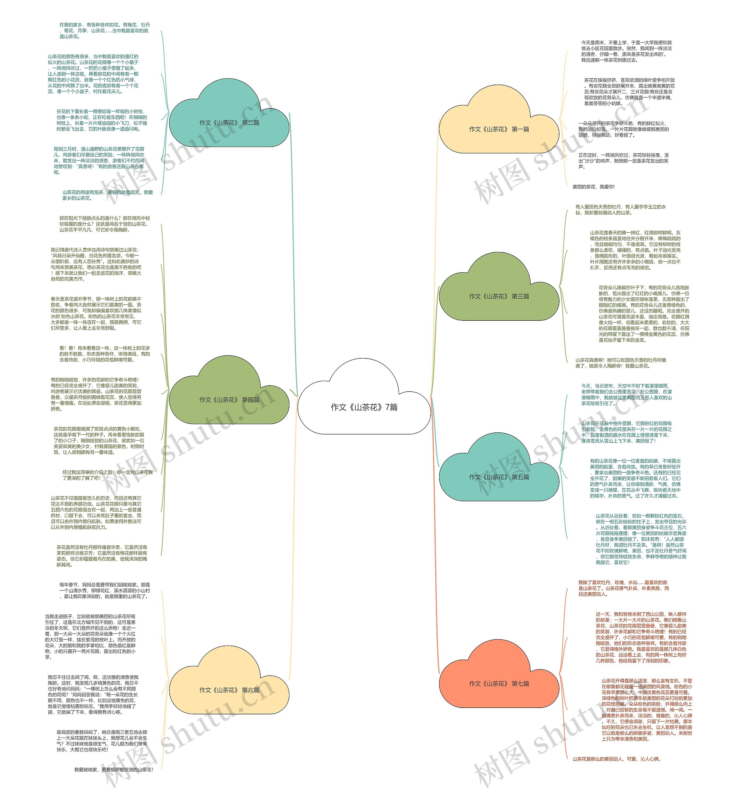 作文《山茶花》7篇思维导图