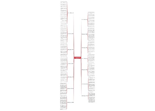 关于窃什么记作文300字精选14篇