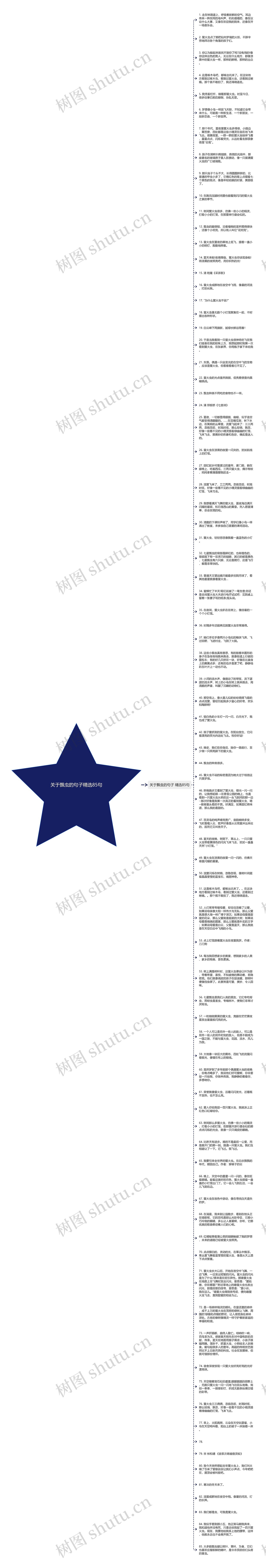 关于飘虫的句子精选85句思维导图