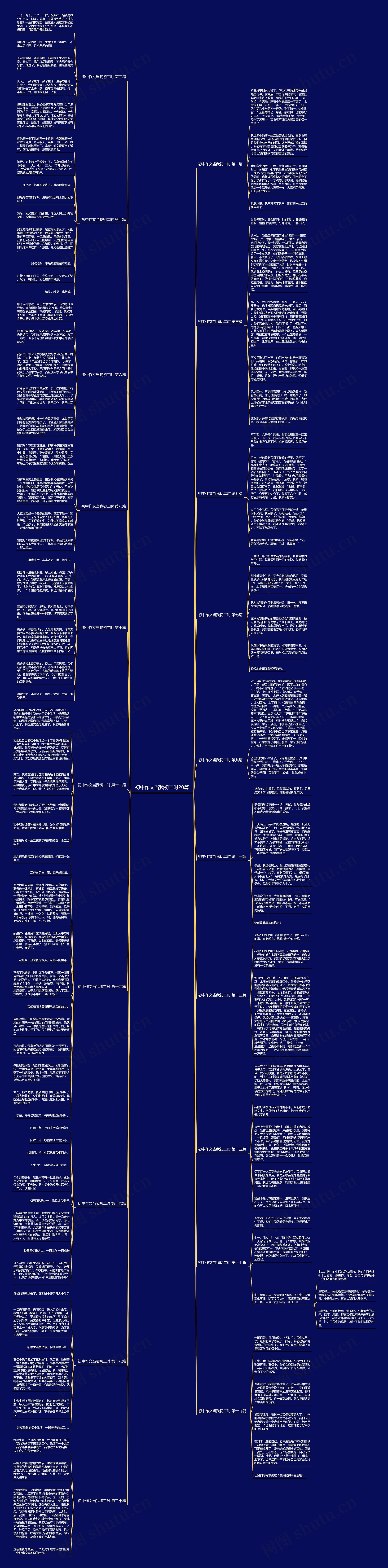 初中作文当我初二时20篇思维导图