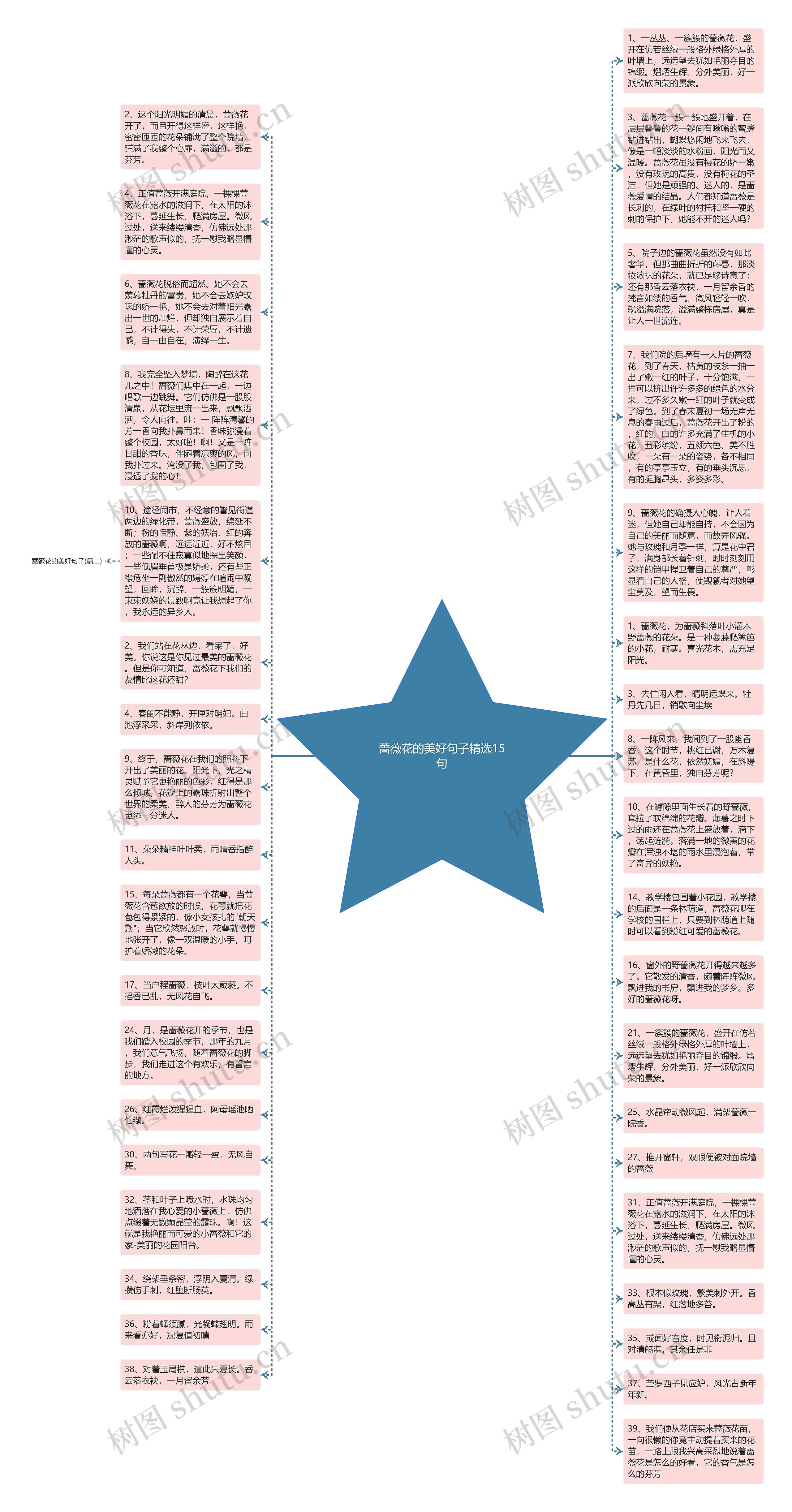 蔷薇花的美好句子精选15句思维导图