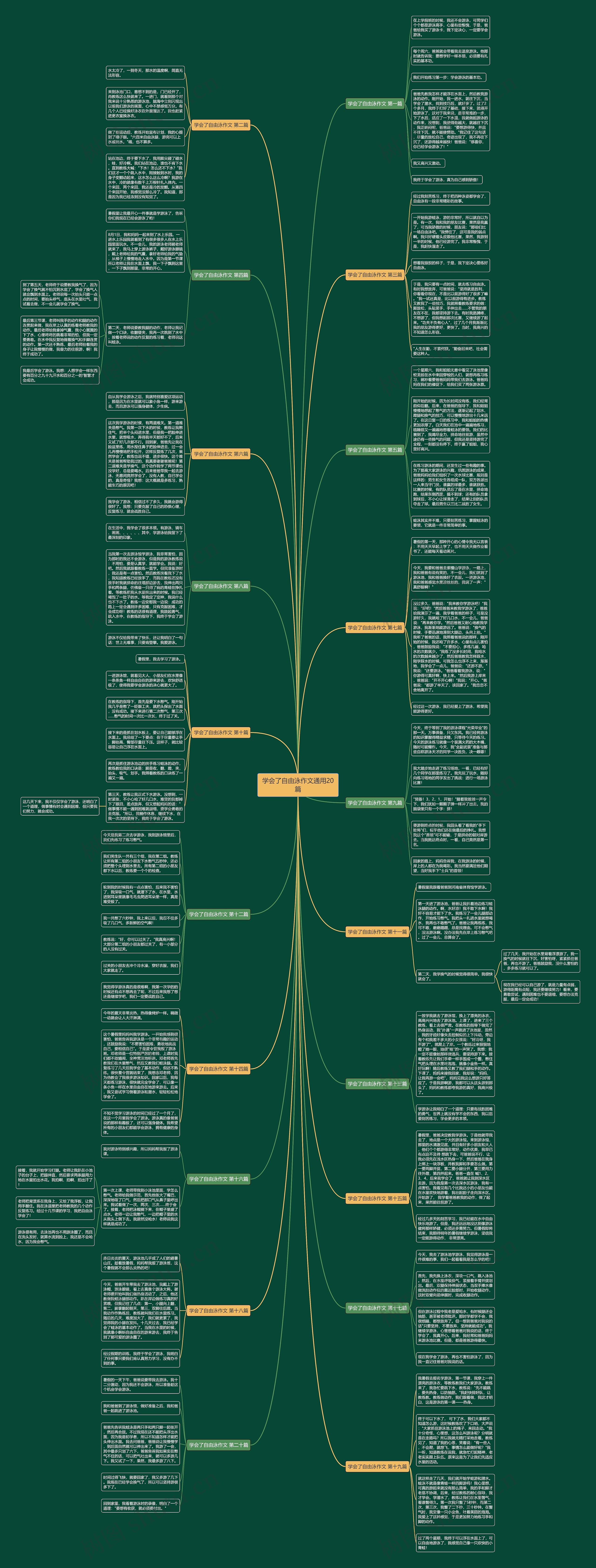 学会了自由泳作文通用20篇思维导图
