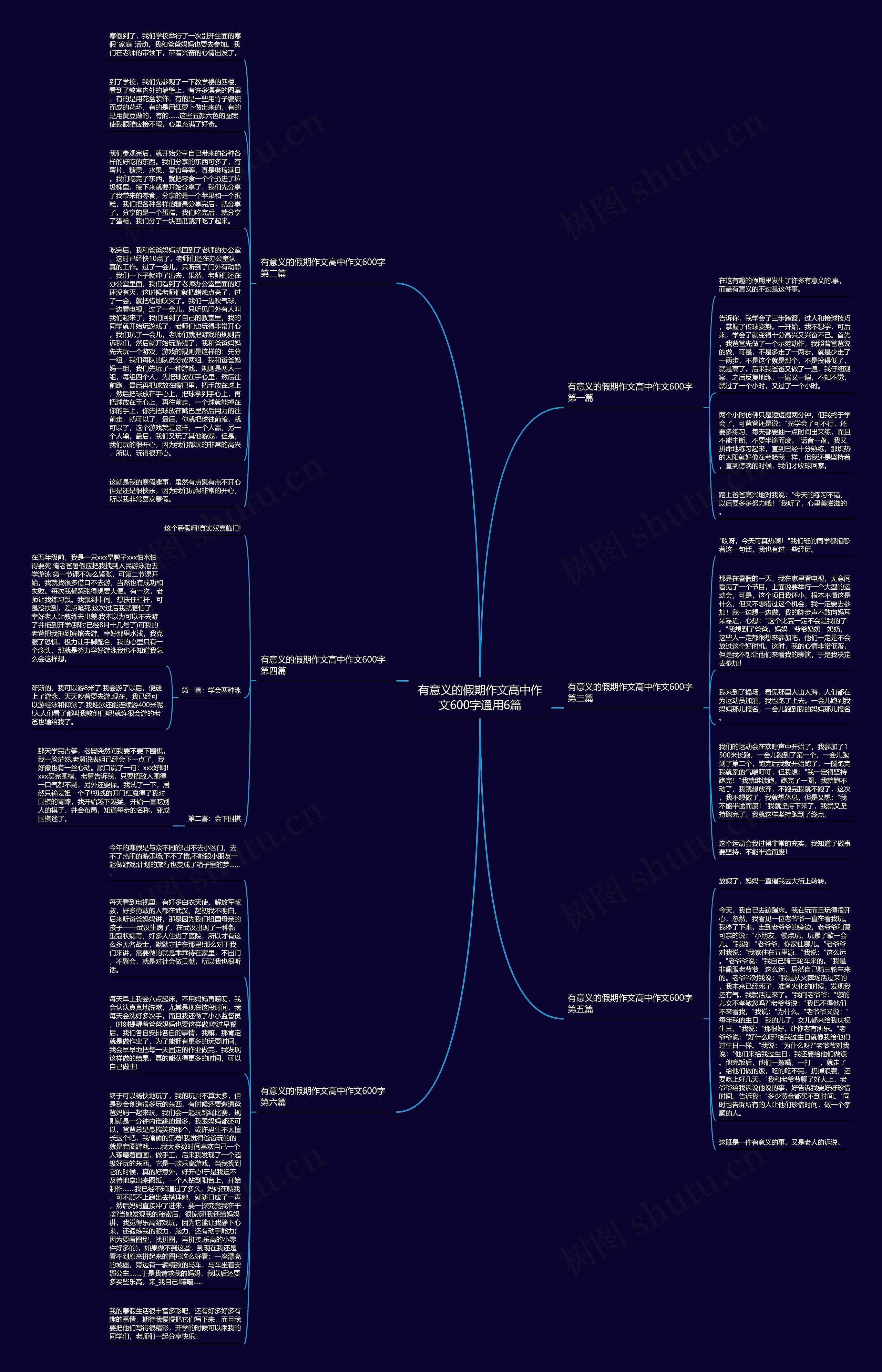 有意义的假期作文高中作文600字通用6篇思维导图