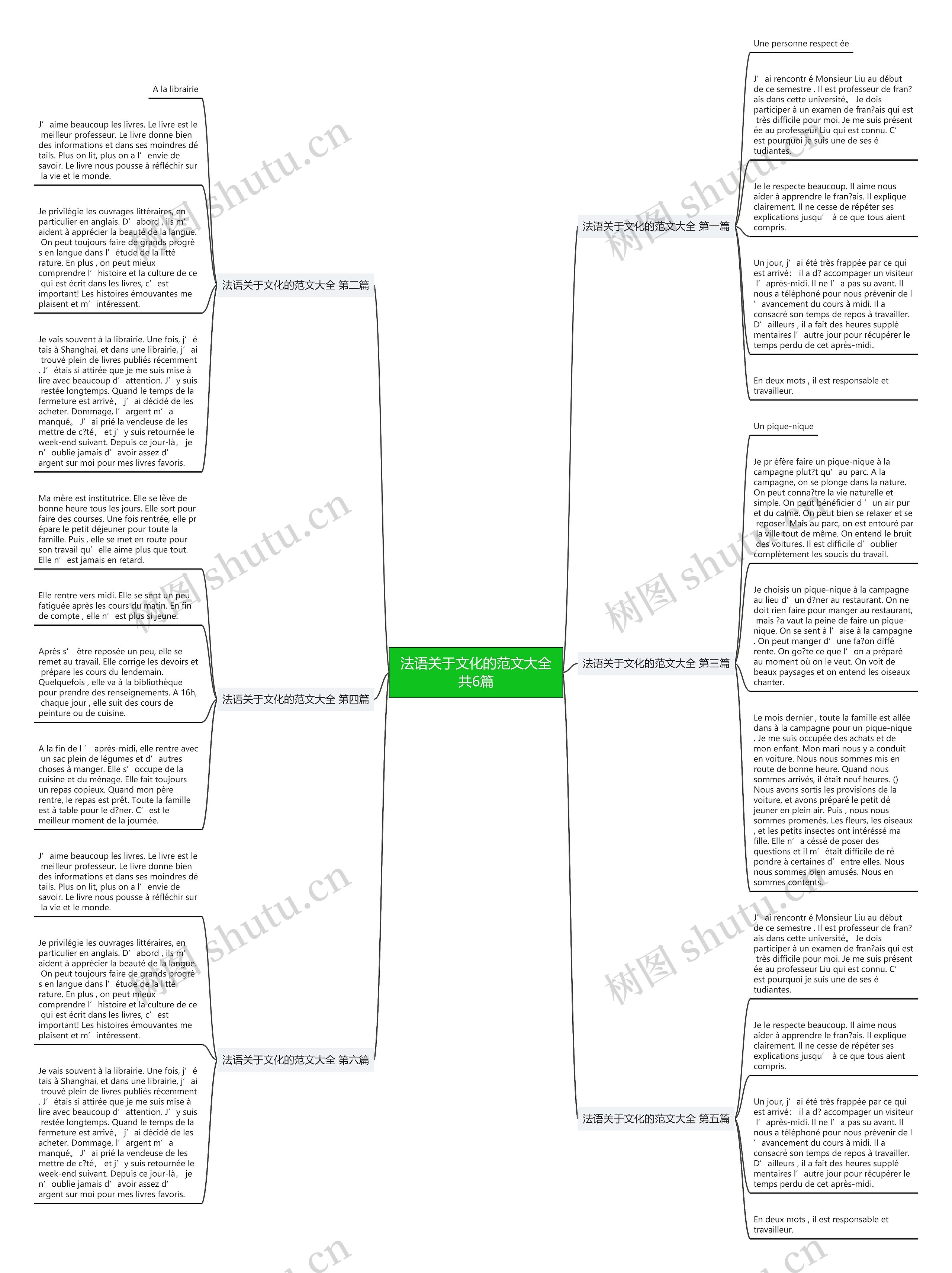 法语关于文化的范文大全共6篇思维导图