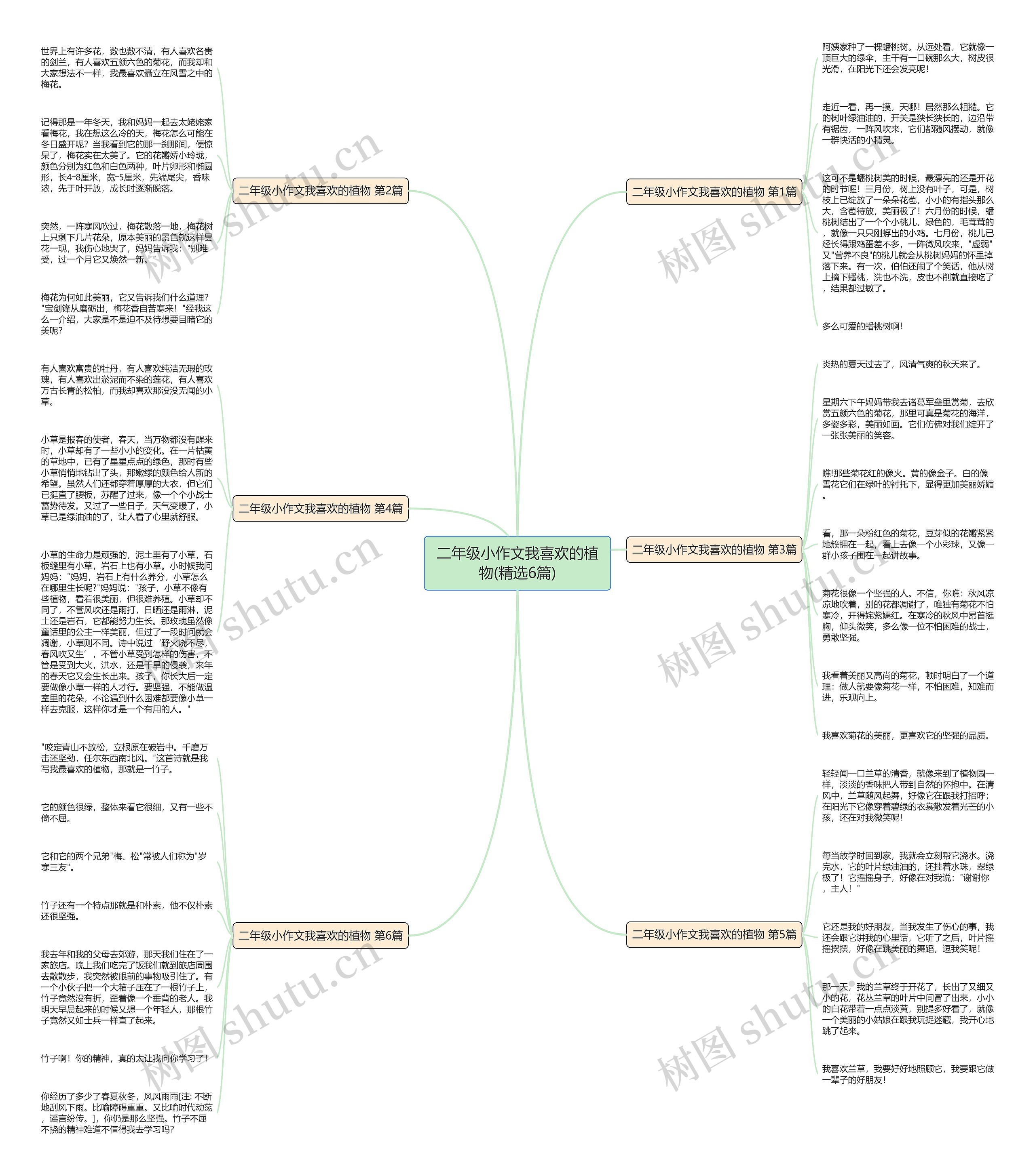 二年级小作文我喜欢的植物(精选6篇)思维导图