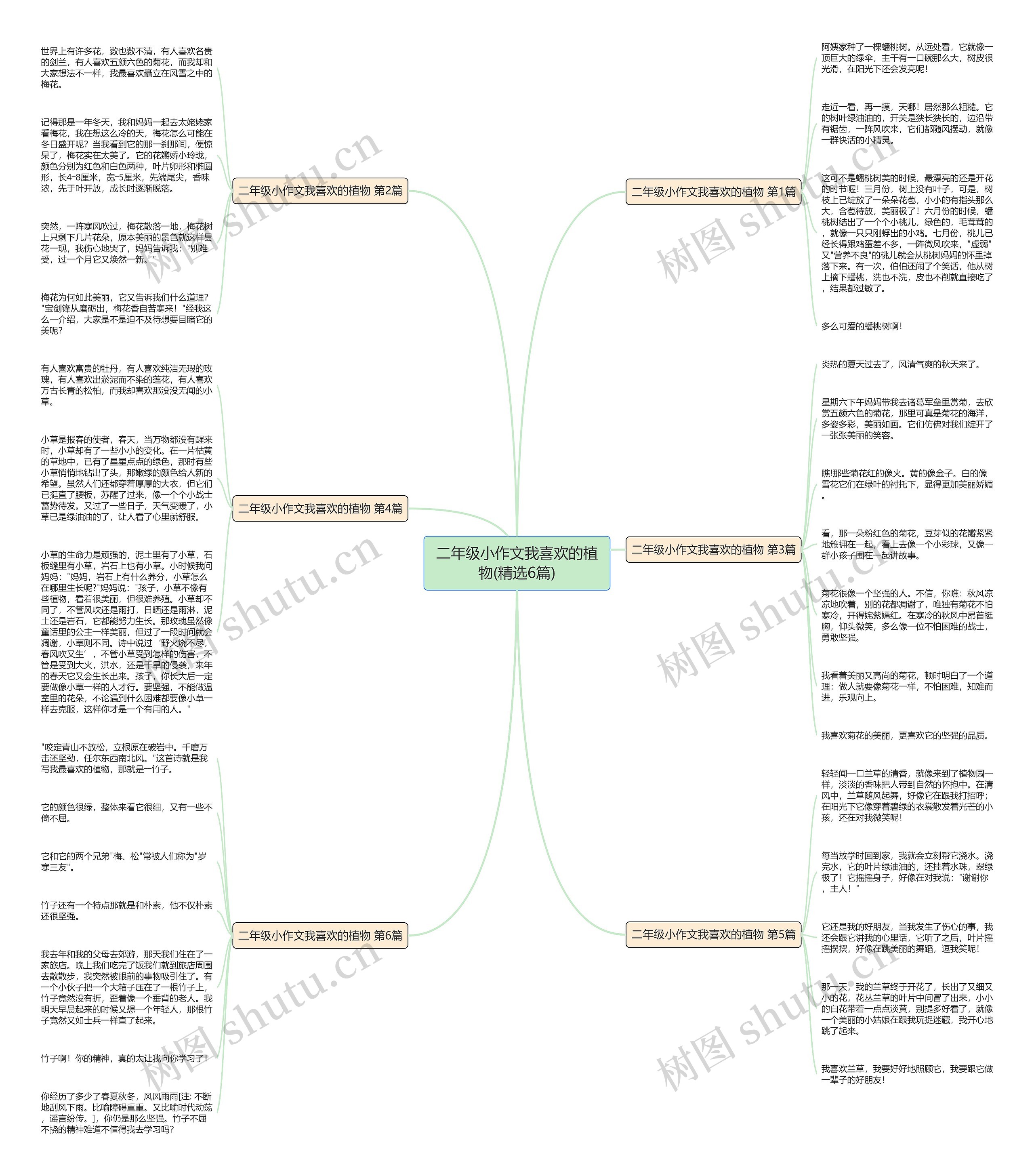 二年级小作文我喜欢的植物(精选6篇) 二年级小作文我喜欢的植物(精选6篇)