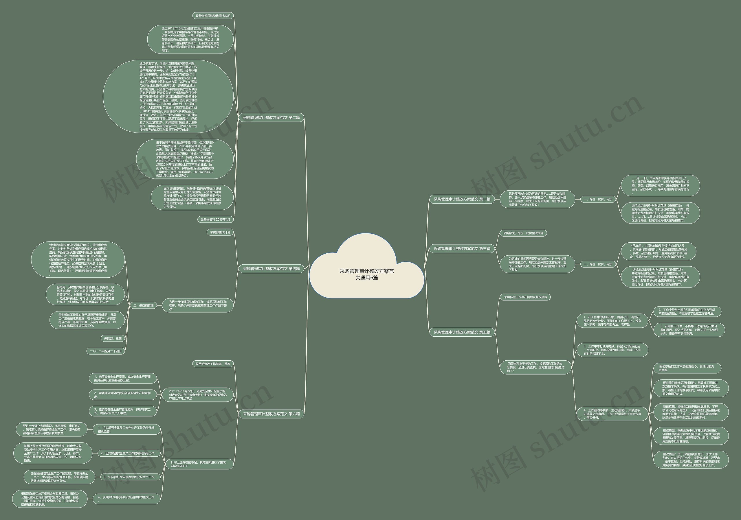 采购管理审计整改方案范文通用6篇思维导图