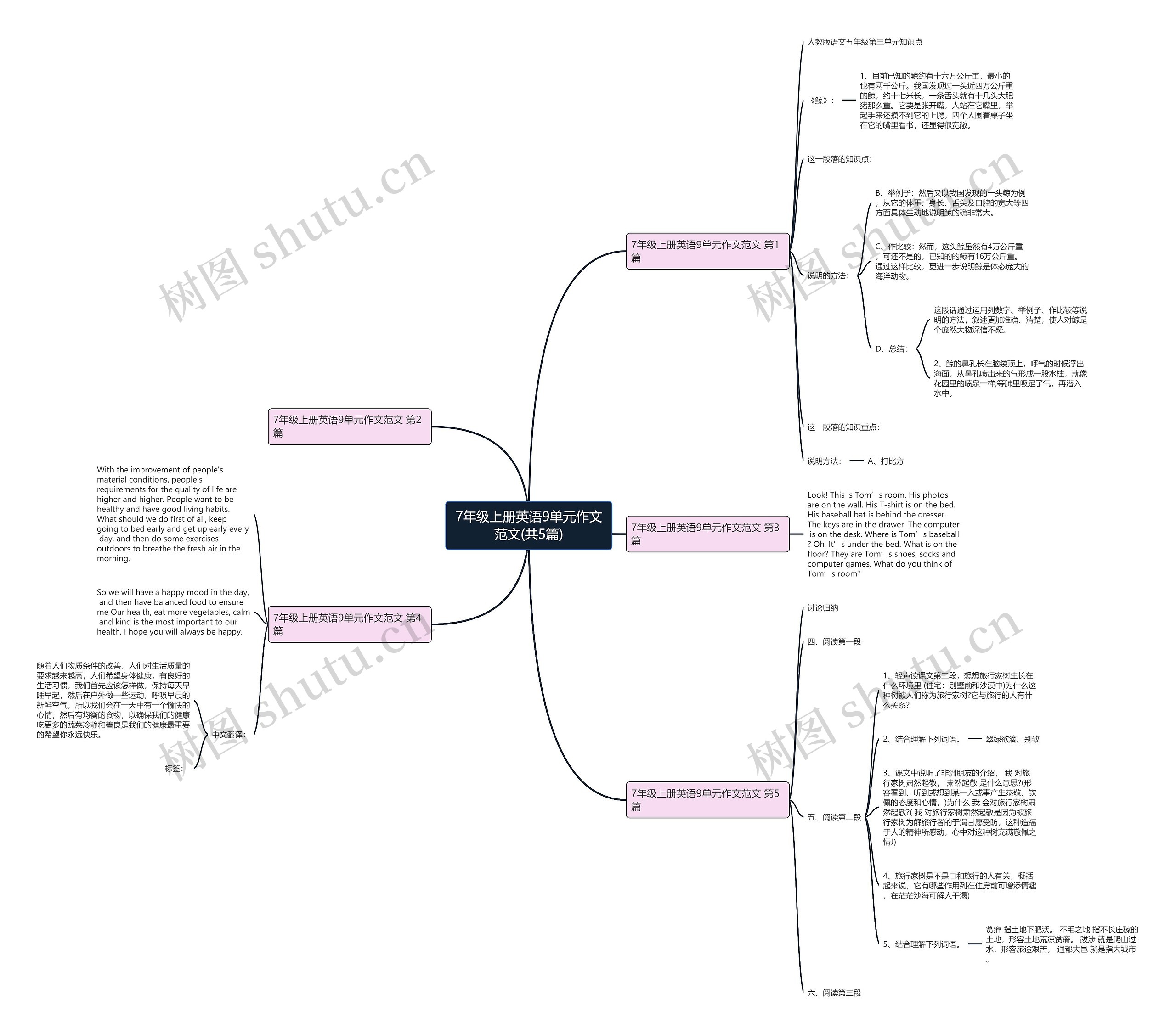 7年级上册英语9单元作文范文(共5篇)思维导图