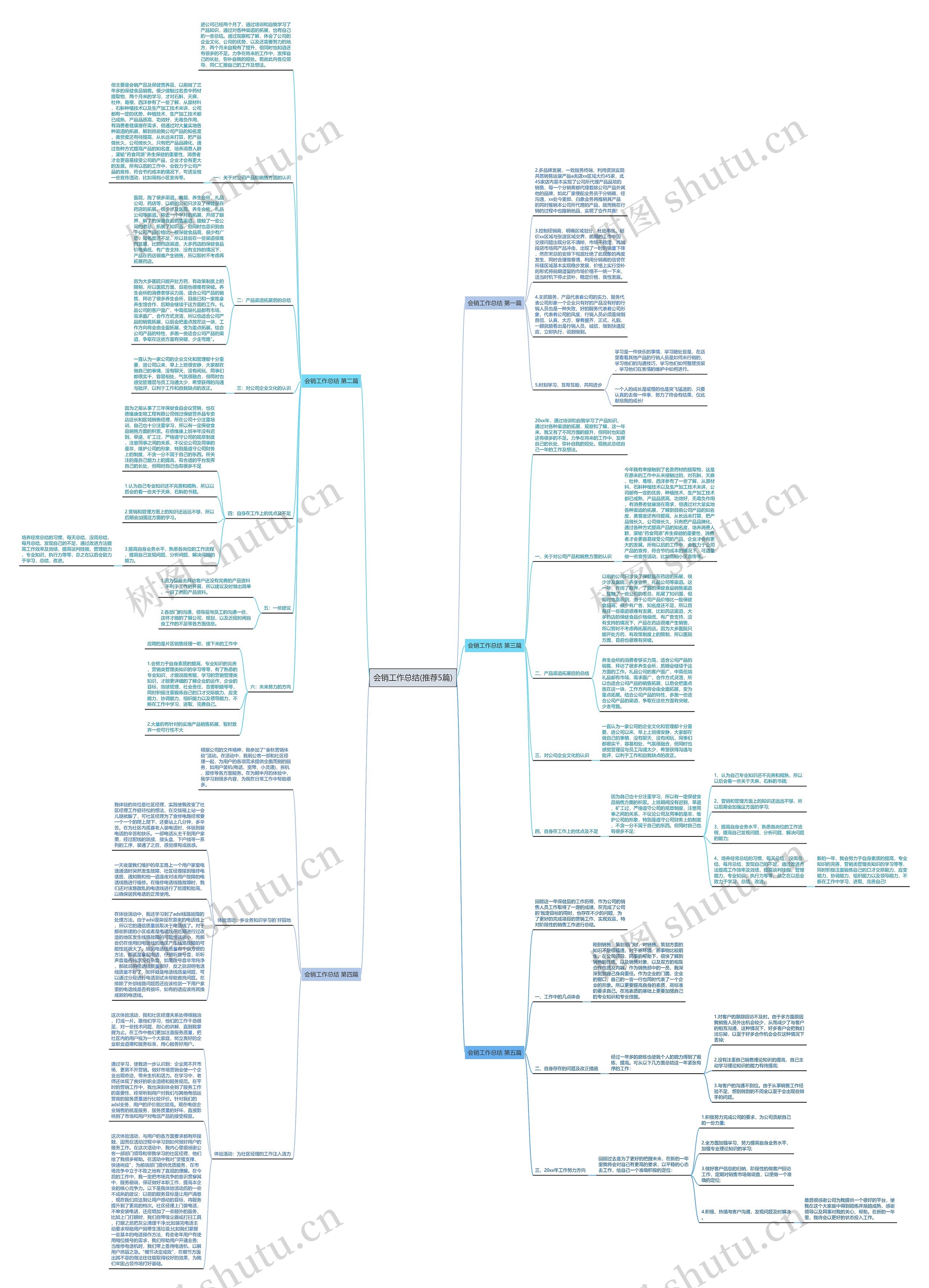 会销工作总结(推荐5篇)思维导图