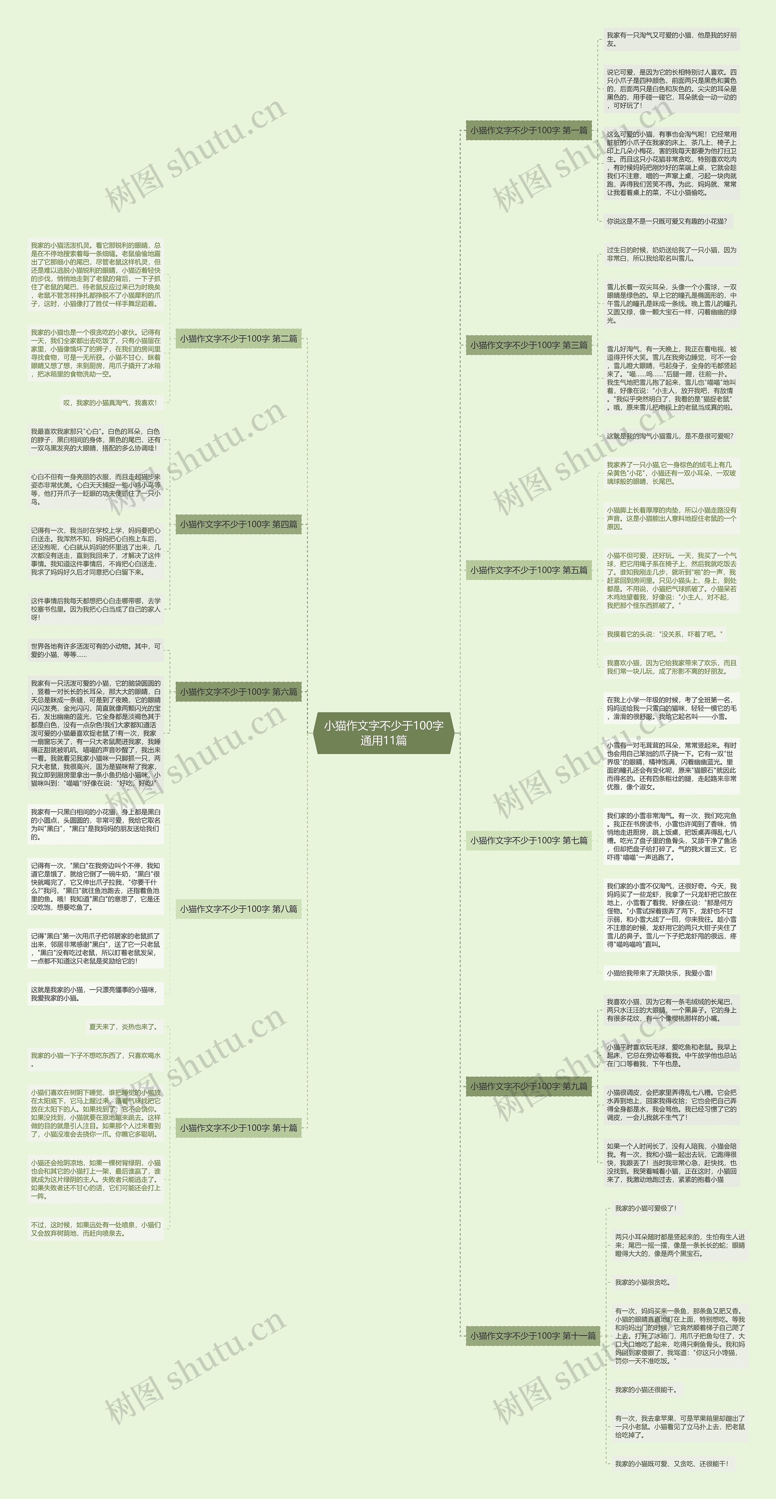 小猫作文字不少于100字通用11篇思维导图