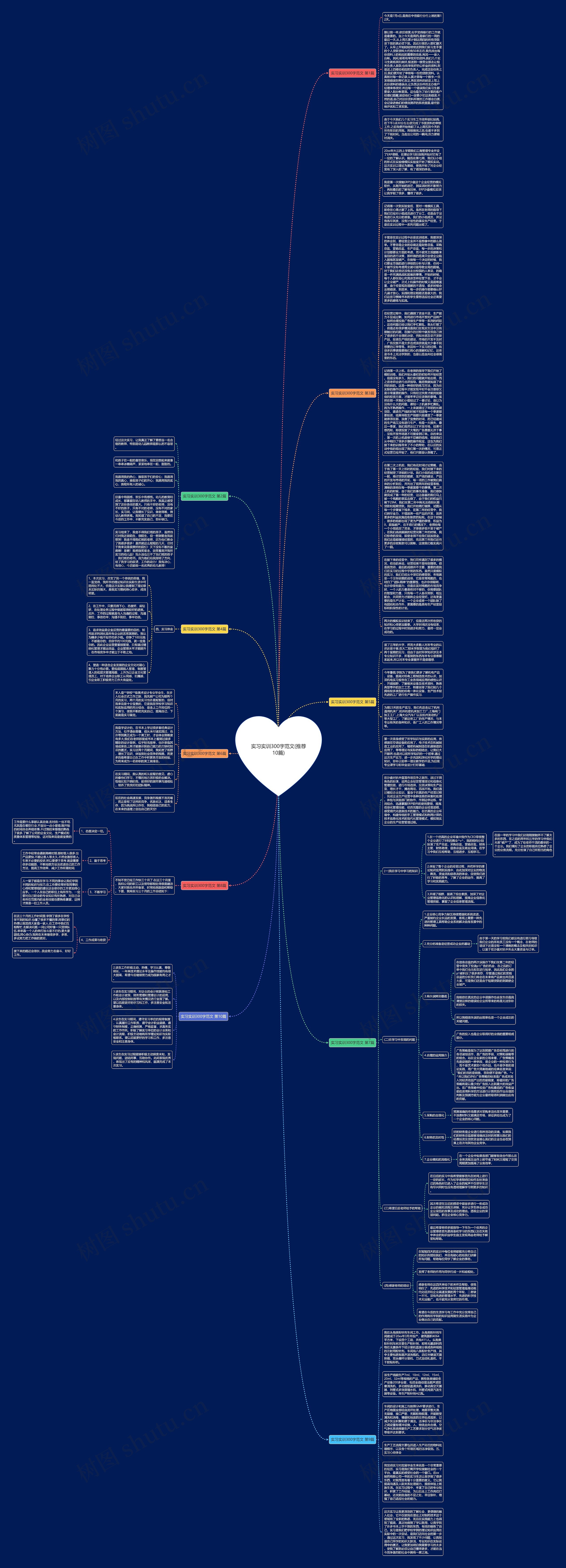 实习实训300字范文(推荐10篇)思维导图