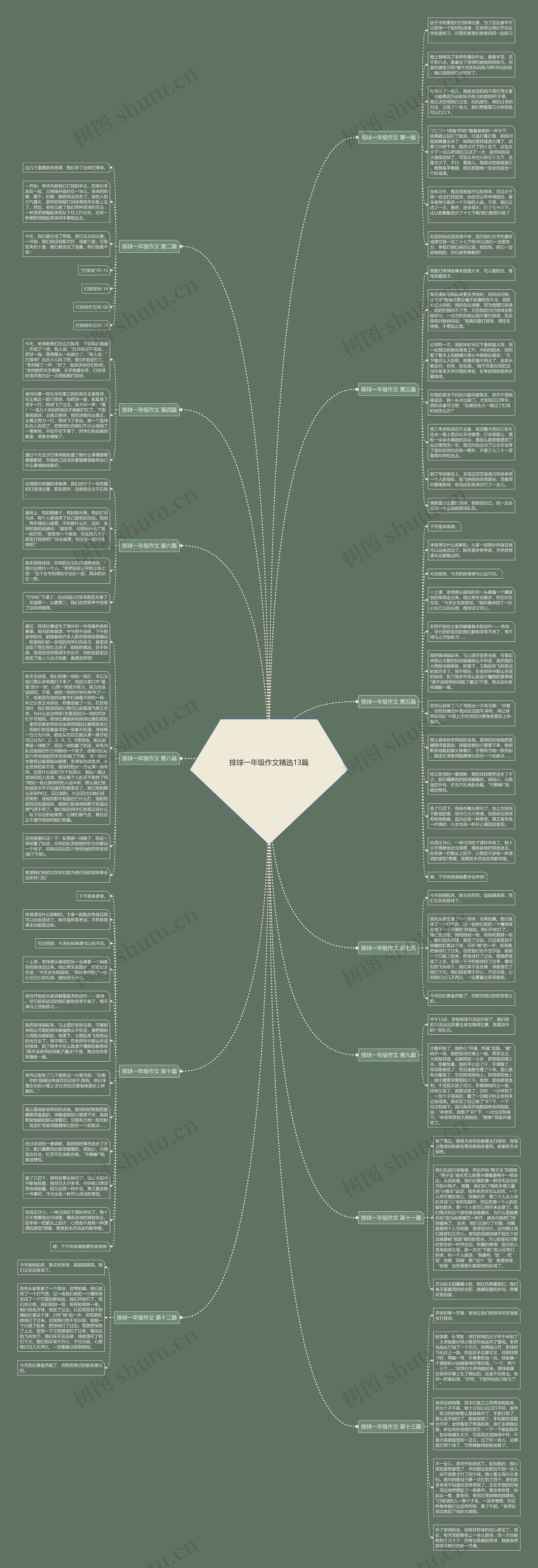 排球一年级作文精选13篇思维导图