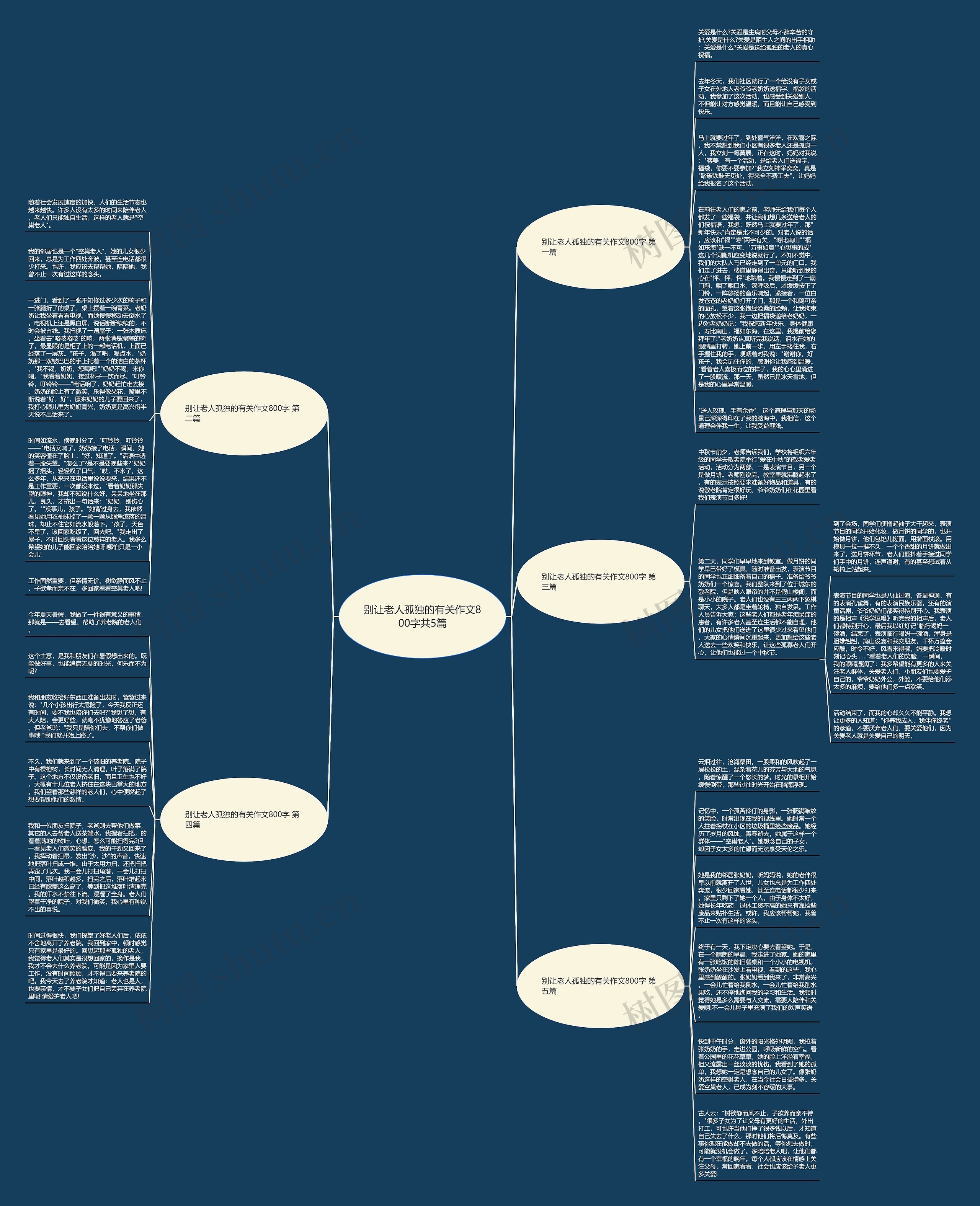 别让老人孤独的有关作文800字共5篇思维导图